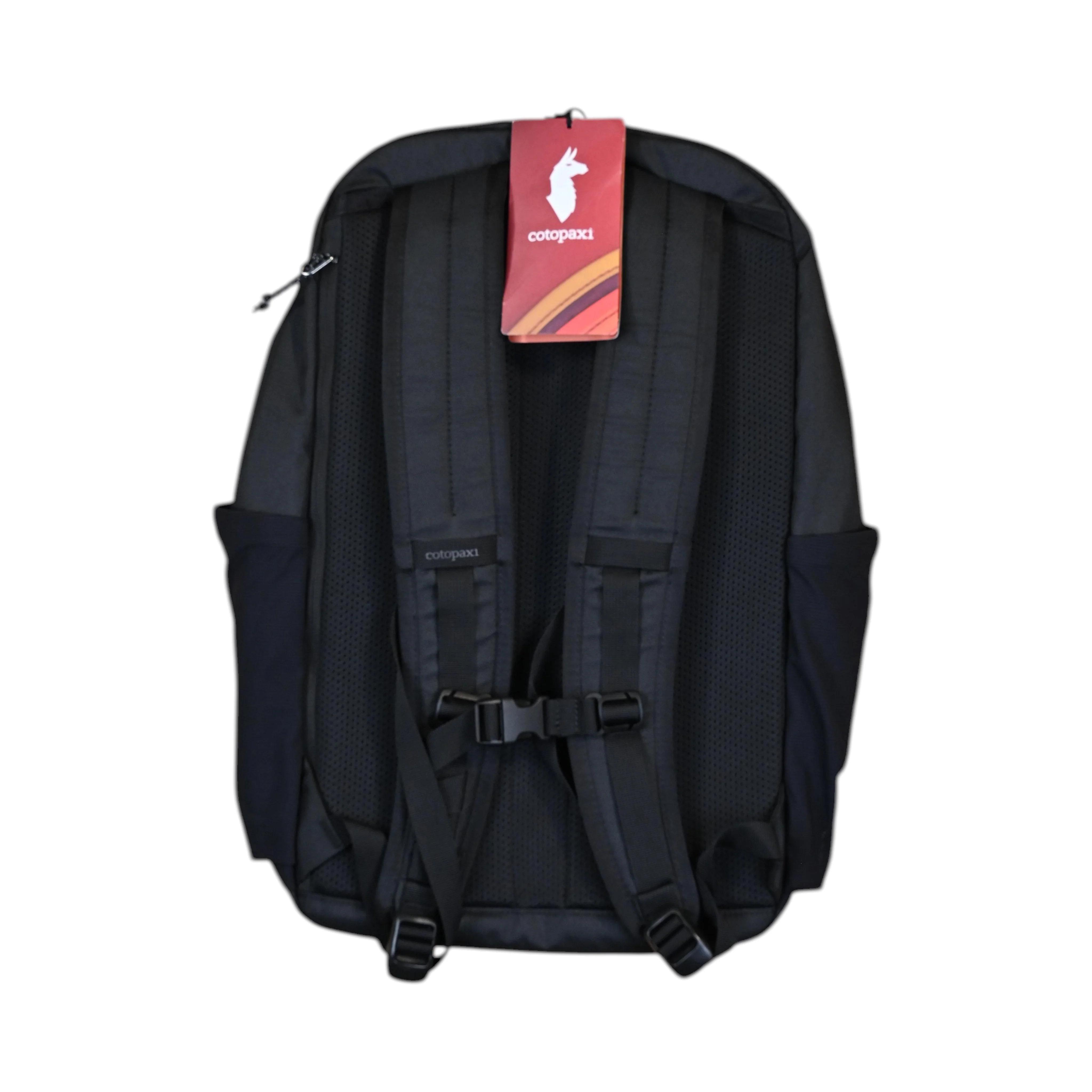 Cotopaxi Abierto 26L Backpack - Image 2