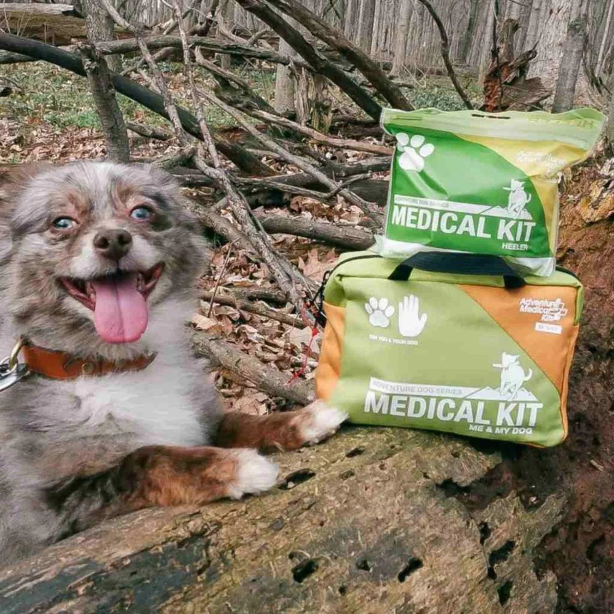 Adventure Medical Kits Heeler Dog Medical Kit - Image 6