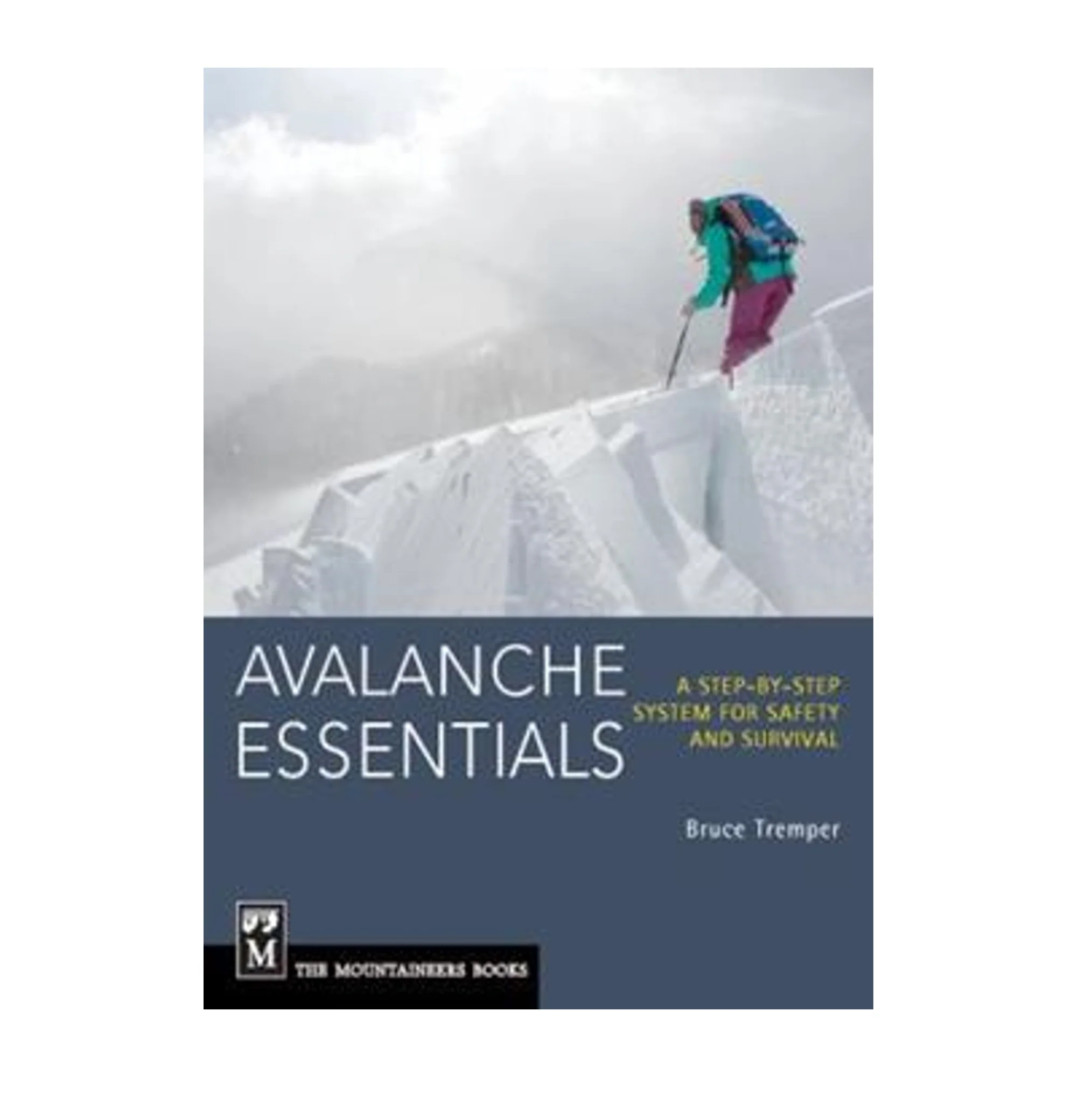 Avalanche Essentials Book - Image 2
