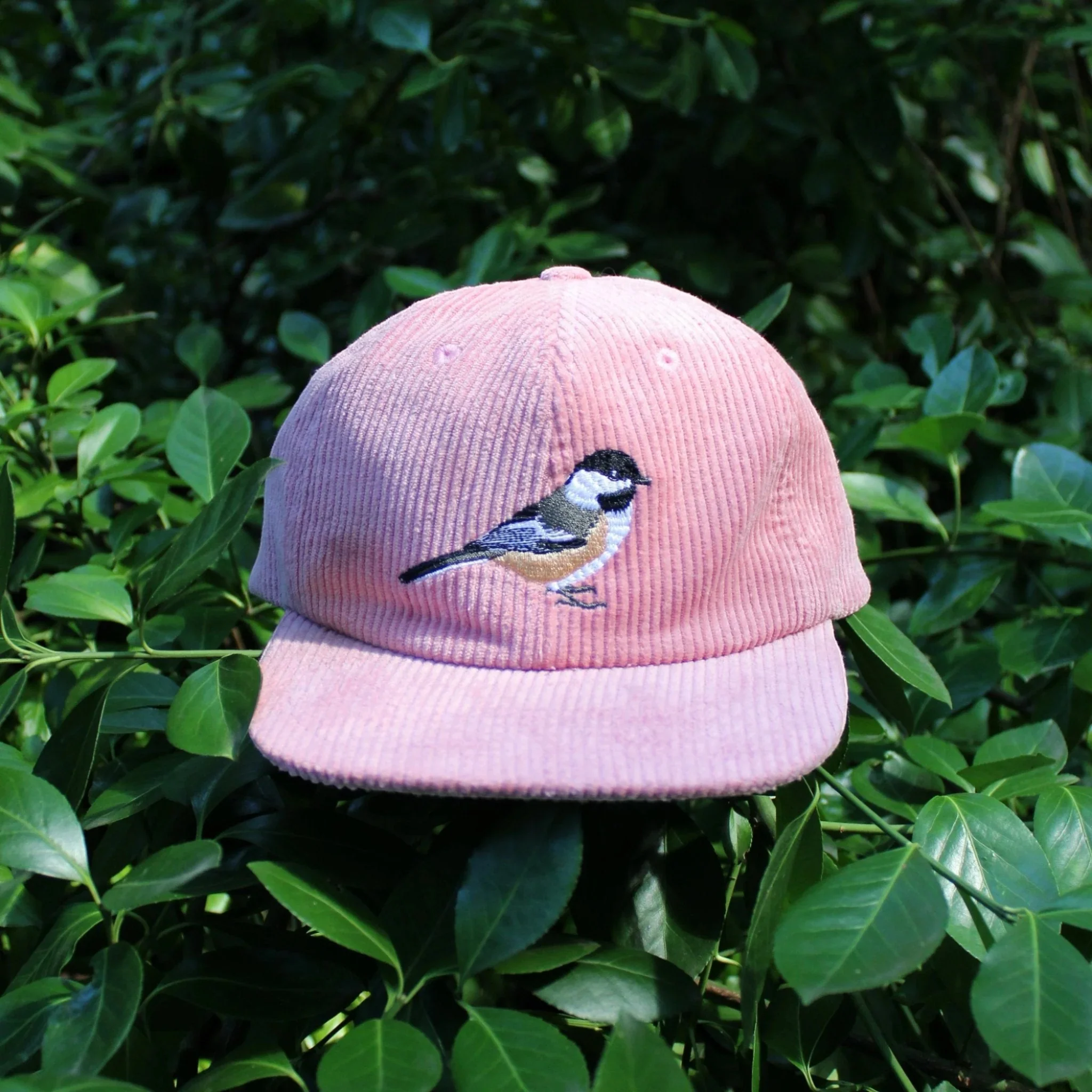 Bird Collective Chickadee Corduroy Hat - Image 3