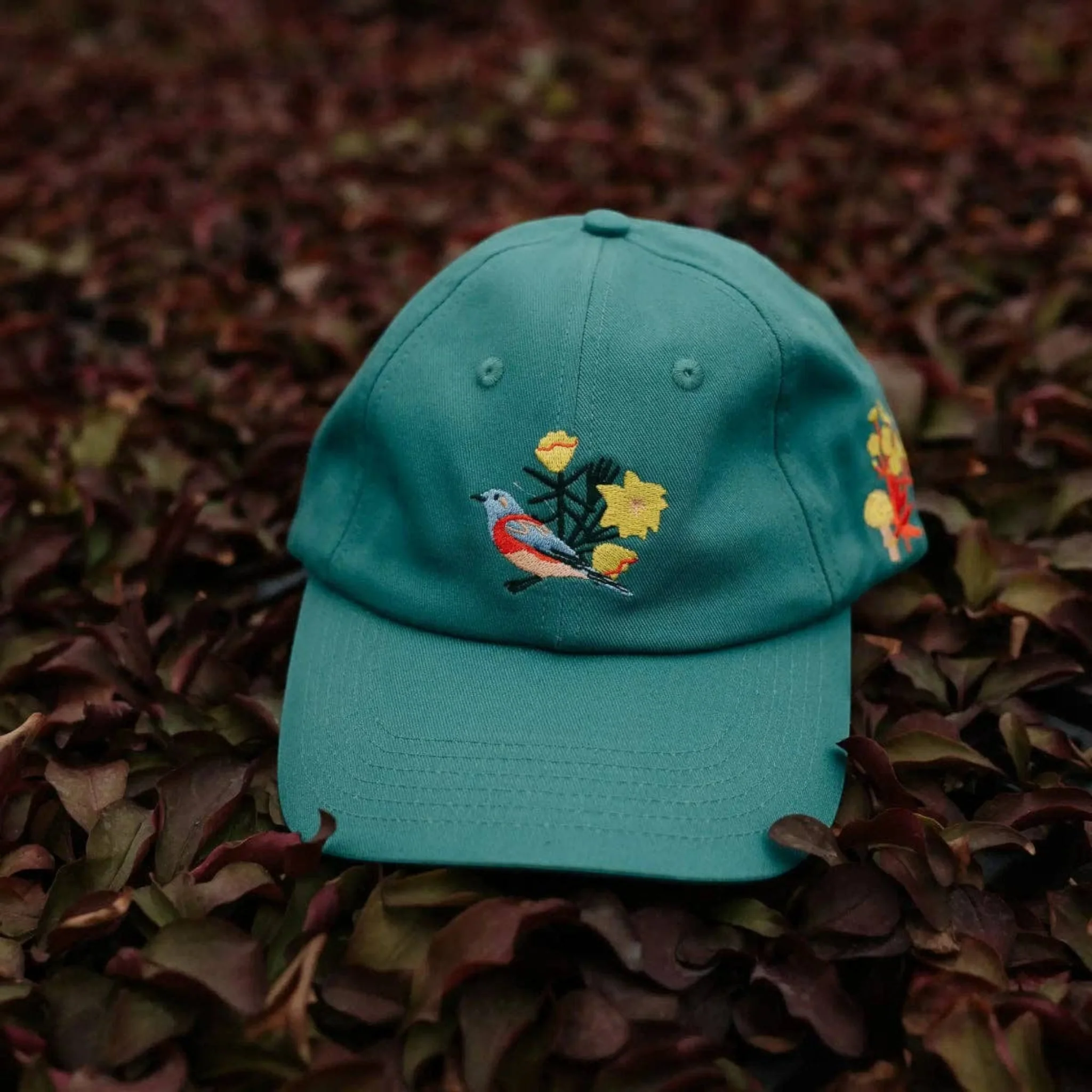Bird Collective Western Natives Hat - Image 6