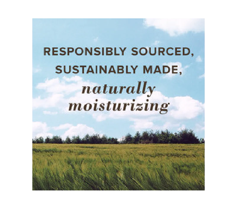 Burt's Bees Medicated Lip Balm .15 oz. - Image 3