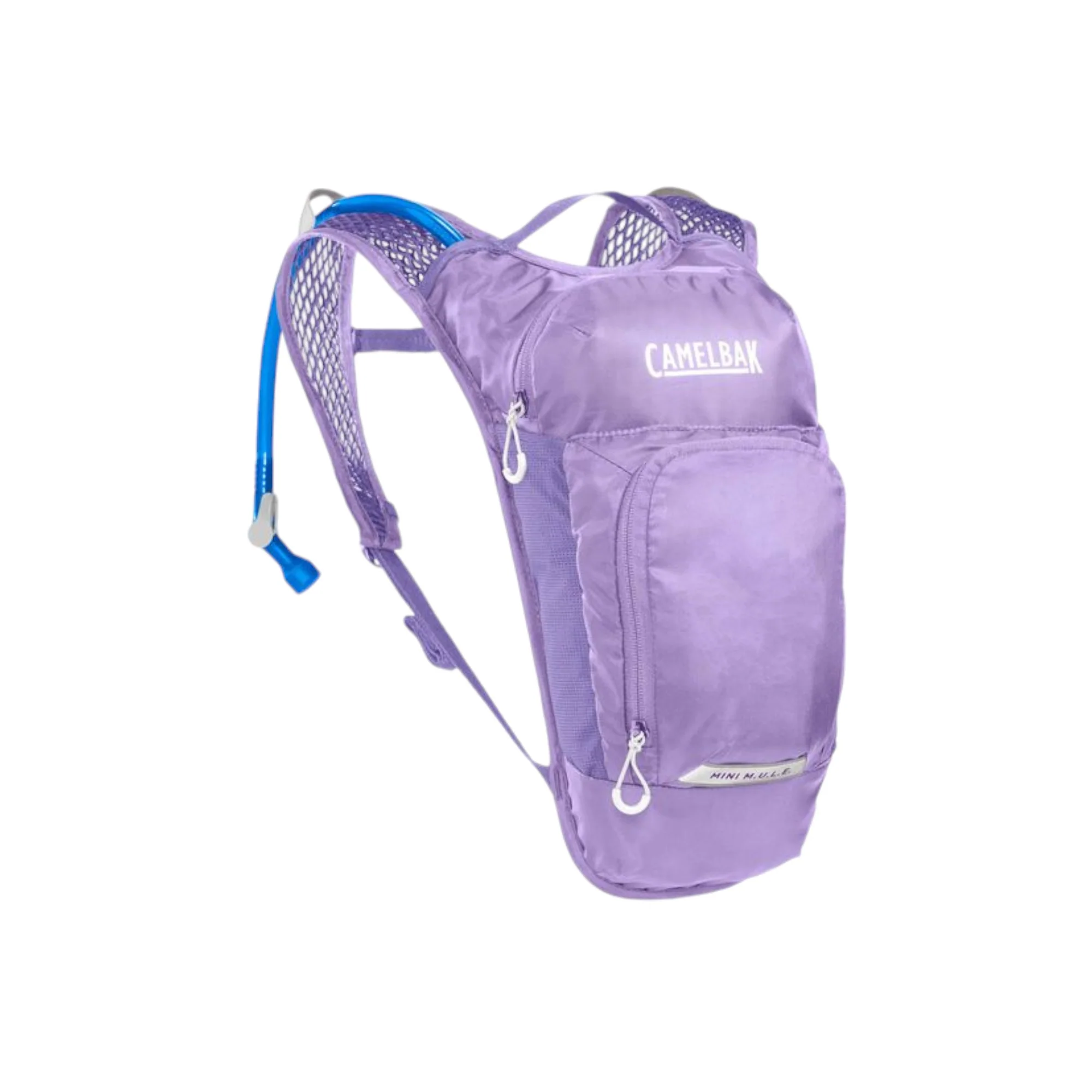 CamelBak Kids' Mini Mule Hydration Pack 50 oz.