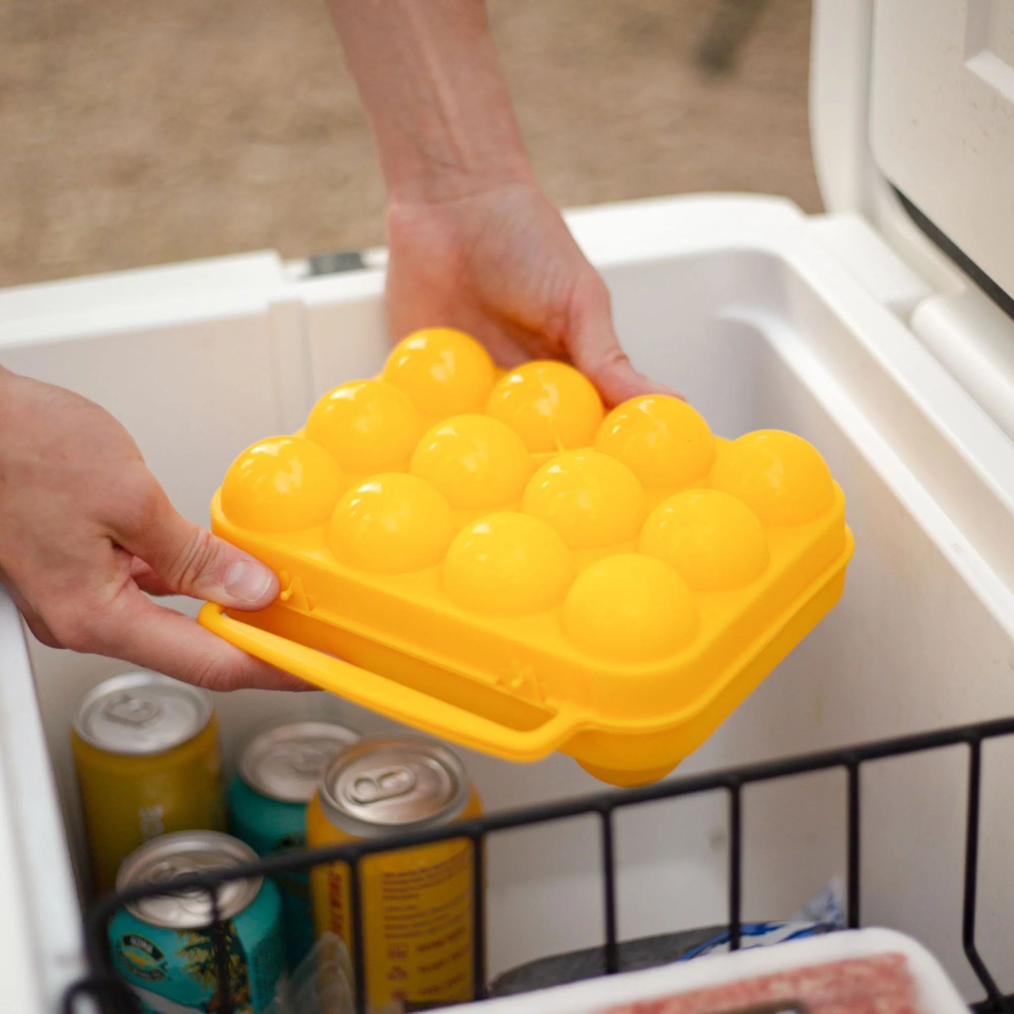 Coghlan's Camper 12 Egg Carrier - Image 5