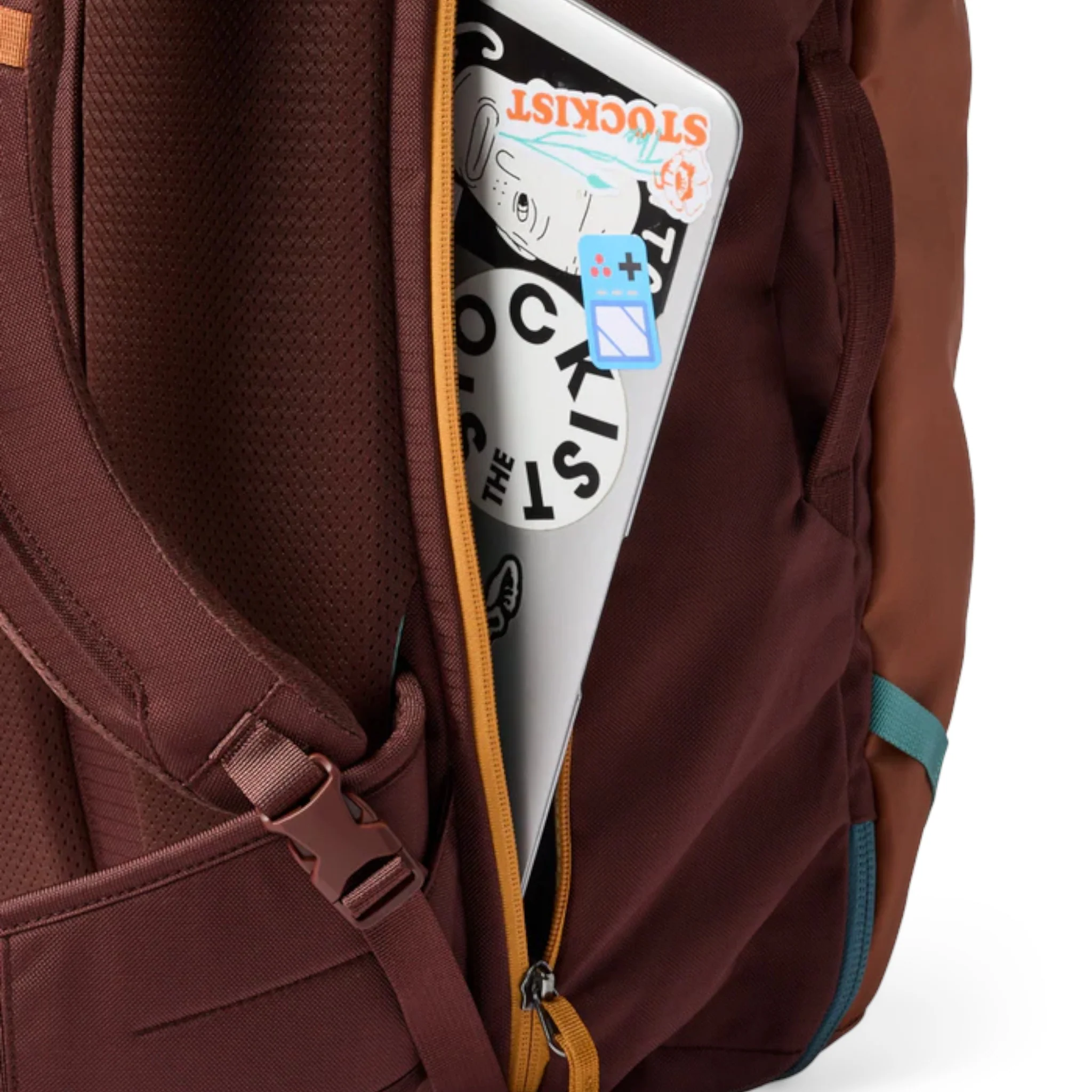 Cotopaxi Allpa 35L Travel Pack - Image 36