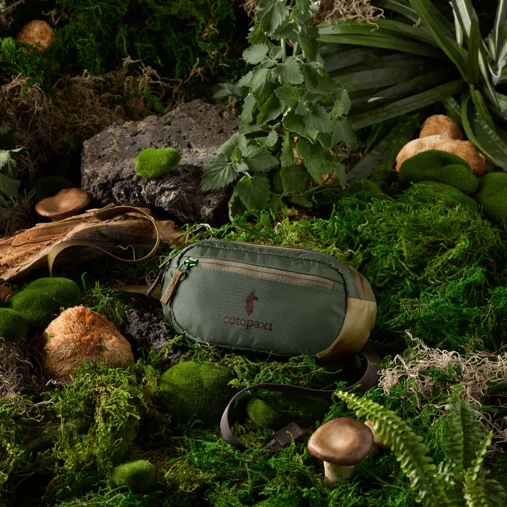 Cotopaxi Kapai 1.5L Hip Pack - Image 22