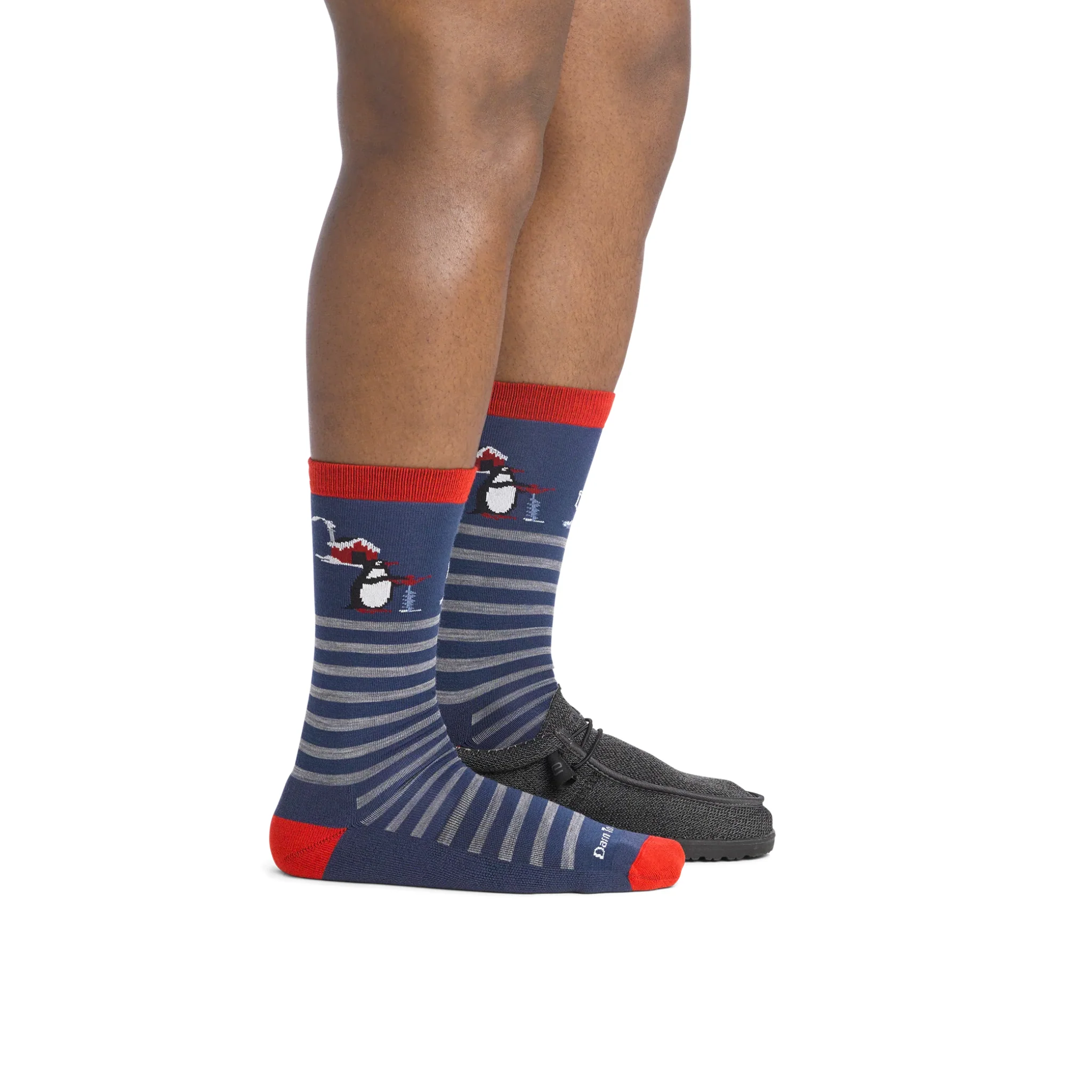 Darn Tough Men's Wild Life Crew Lightweight with Cushion Socks - Image 4