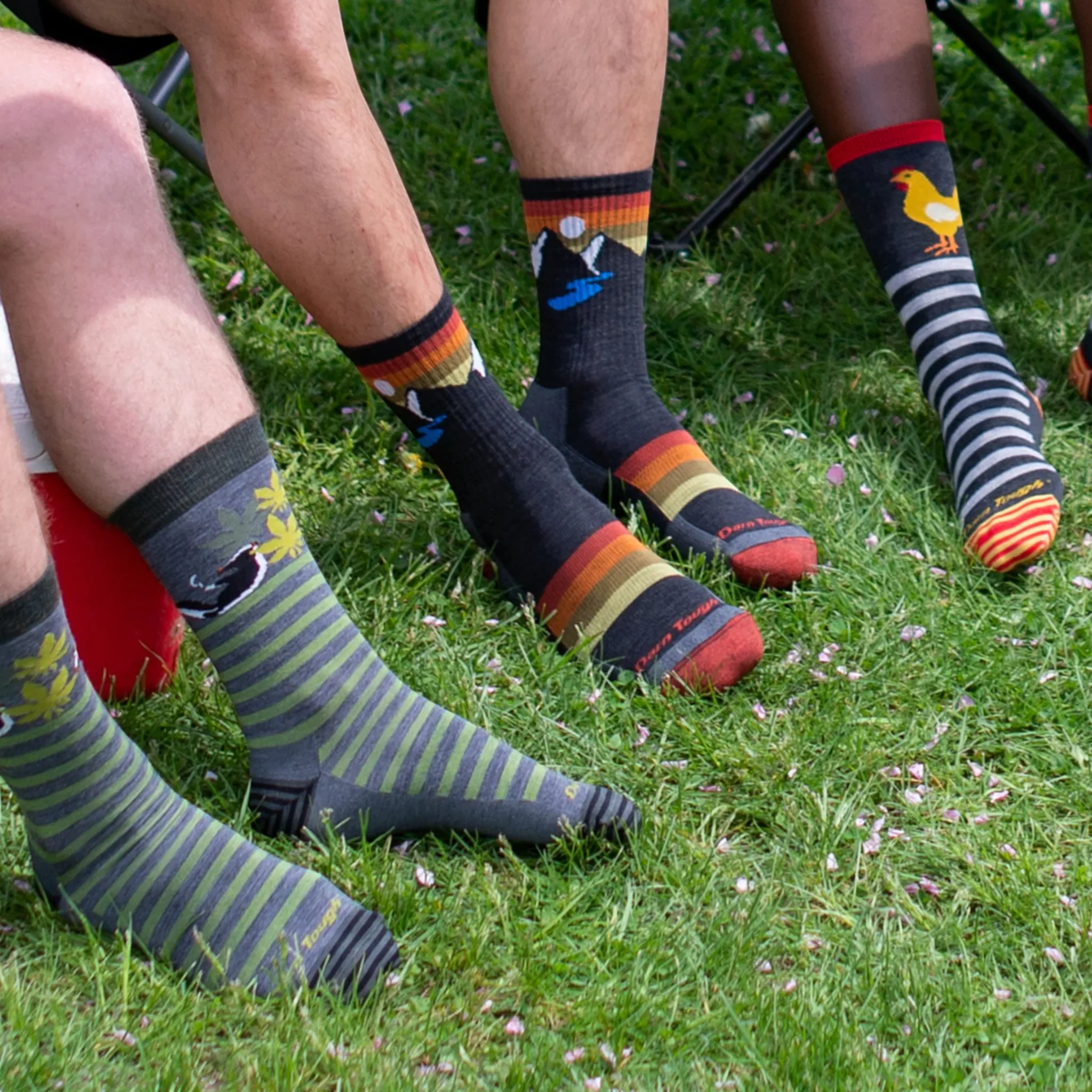 Darn Tough Sunset Ridge Micro Crew Lightweight Hiking Socks - Image 8