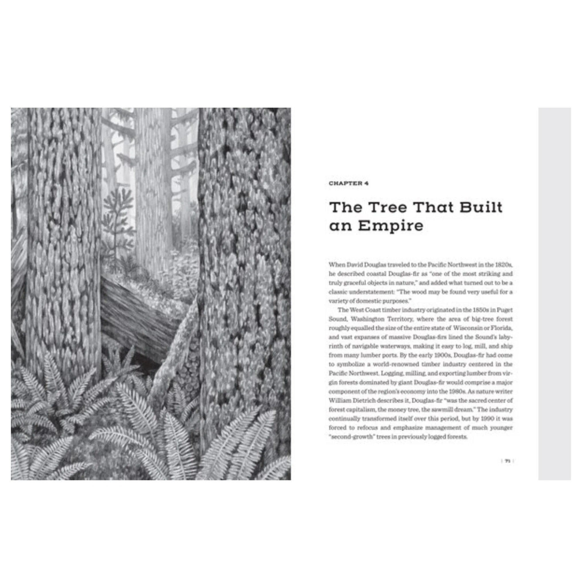 Douglas Fir: The Story Of The West's Most Remarkable Tree - Image 4