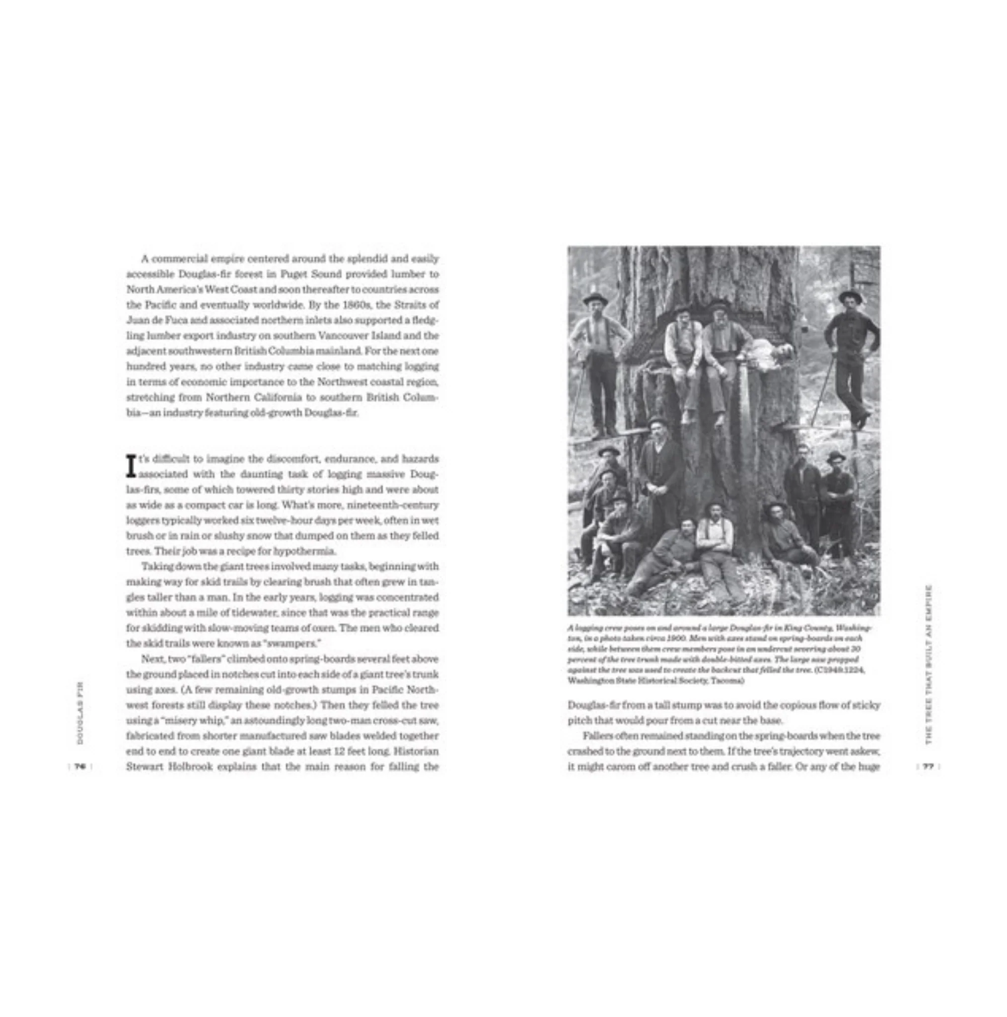 Douglas Fir: The Story Of The West's Most Remarkable Tree - Image 6