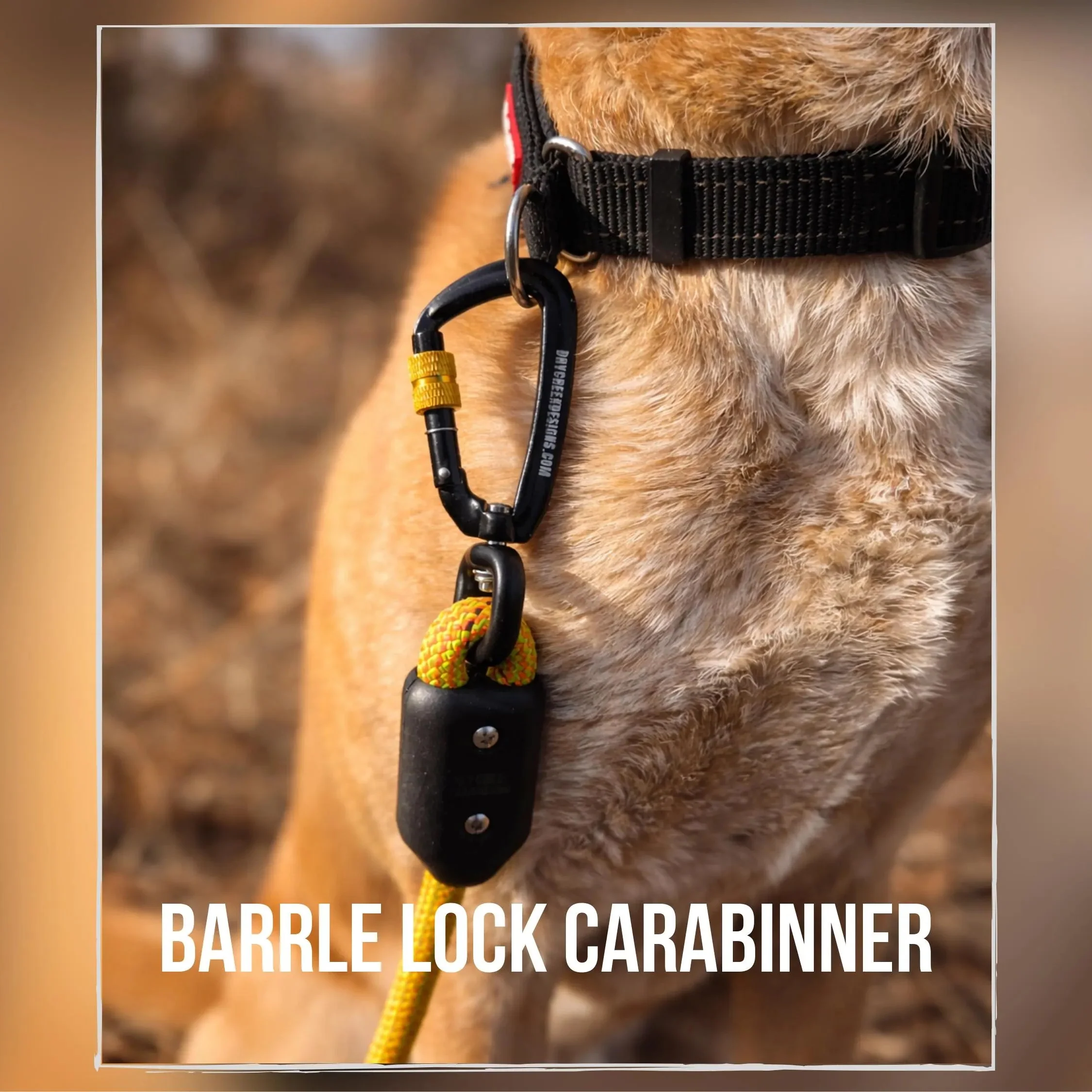 Dry Creek Designs Hands Free Dog Leash - Image 6