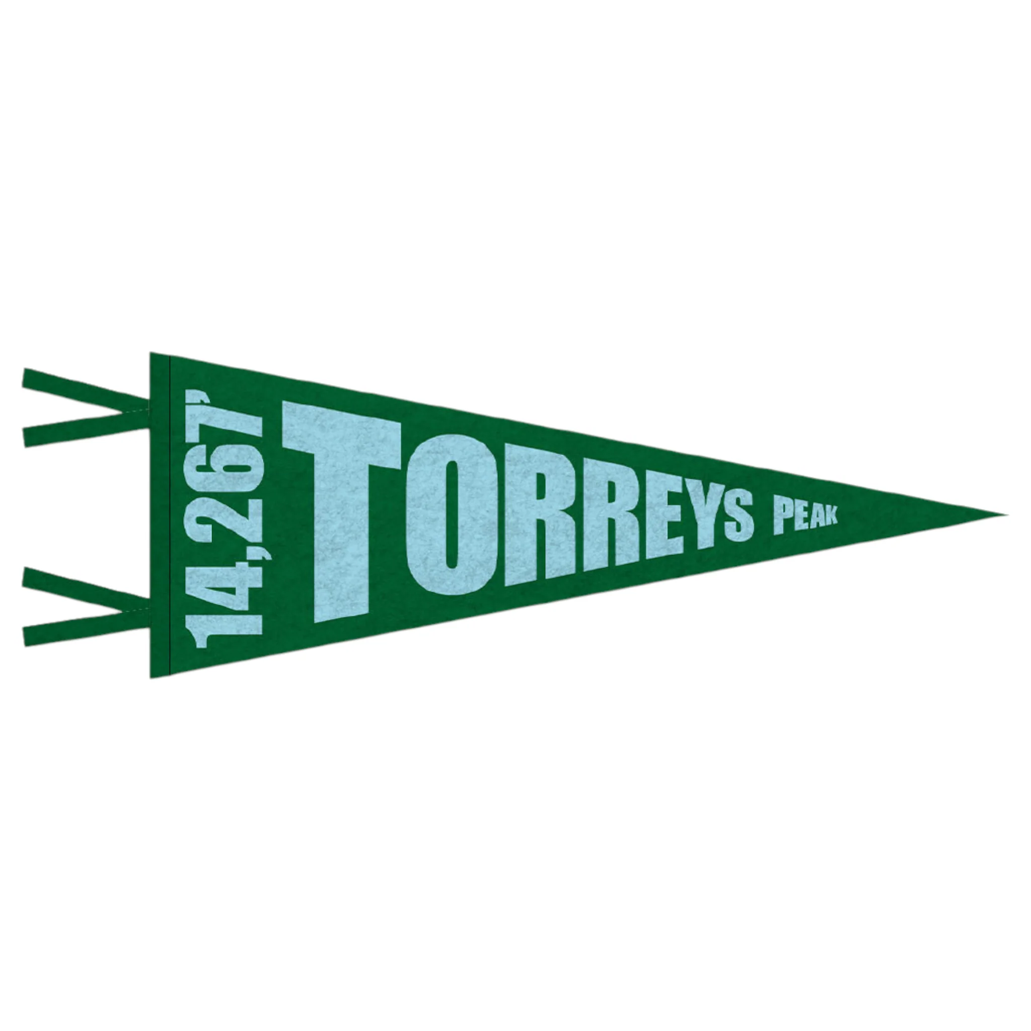 FERAL Torreys Peak Pennant Green | Teal - Image 2