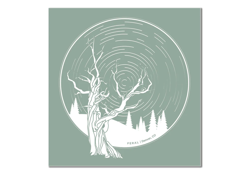 FERAL Tree and Startrails Teal Sticker