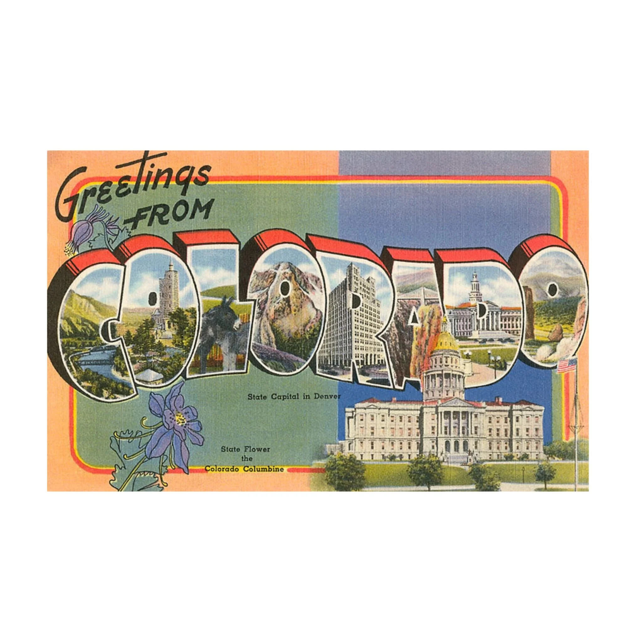 Found Image Greetings From Colorado Postcard CO-274 - Image 2
