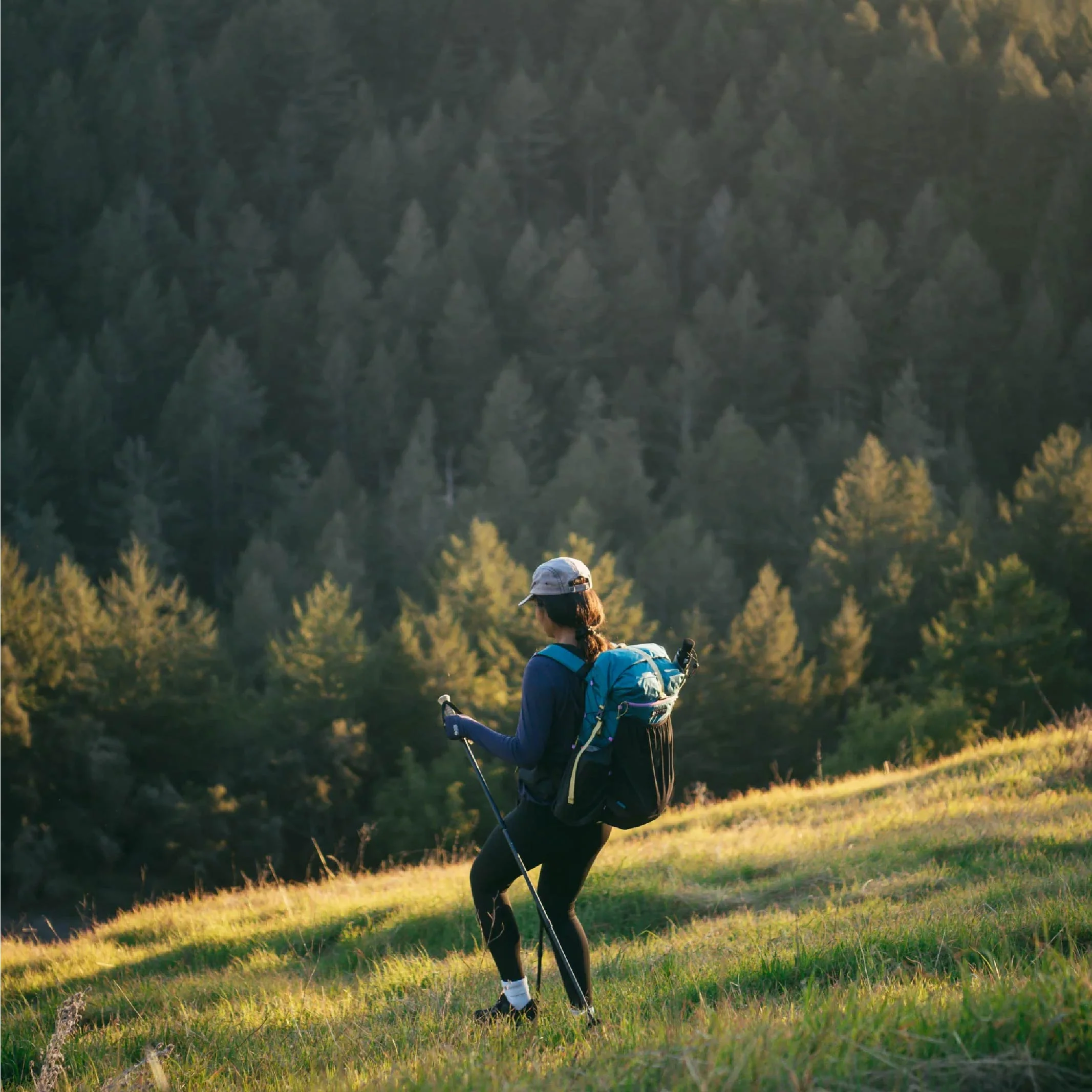 Gossamer Gear G4-20 Ultralight Backpack - Image 5
