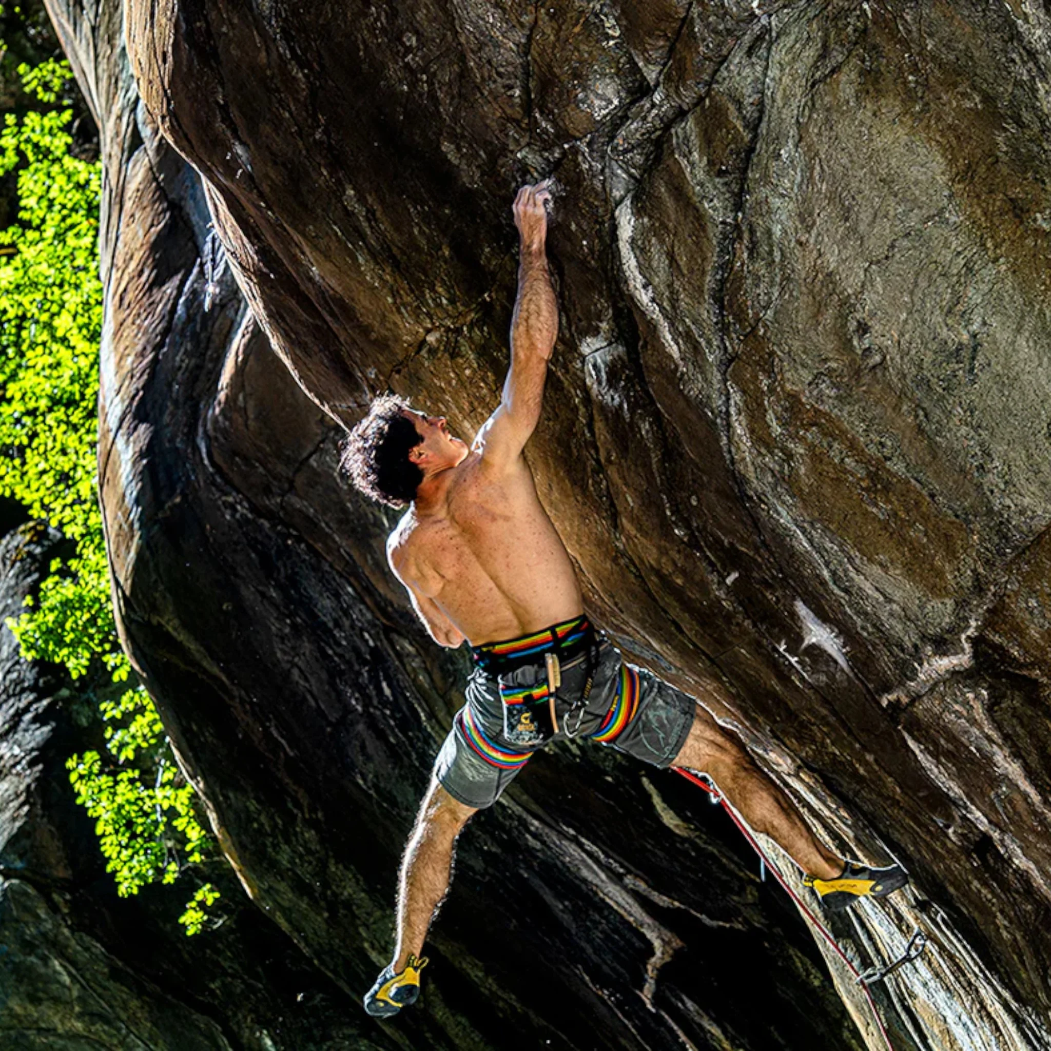 Grivel Trend Climbing Harness - Image 12