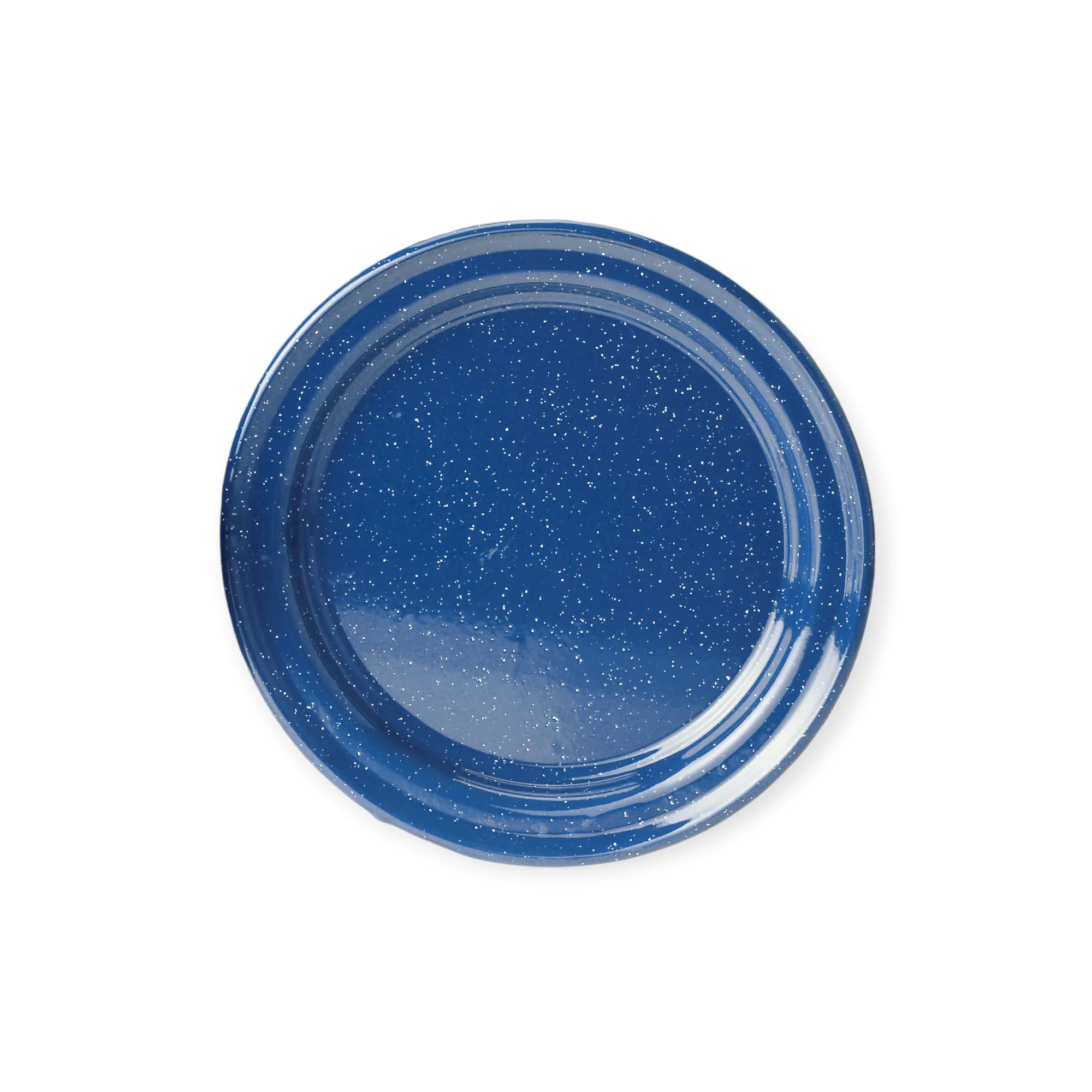 GSI Enamel 10” Plate - Blue