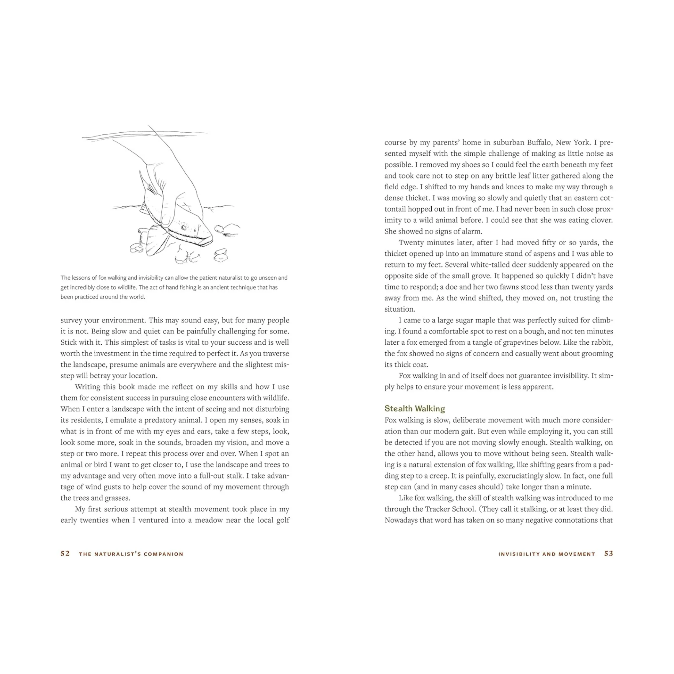The Naturalist's Companion: A Field Guide to Observing and Understanding Wildlife Book - Image 5