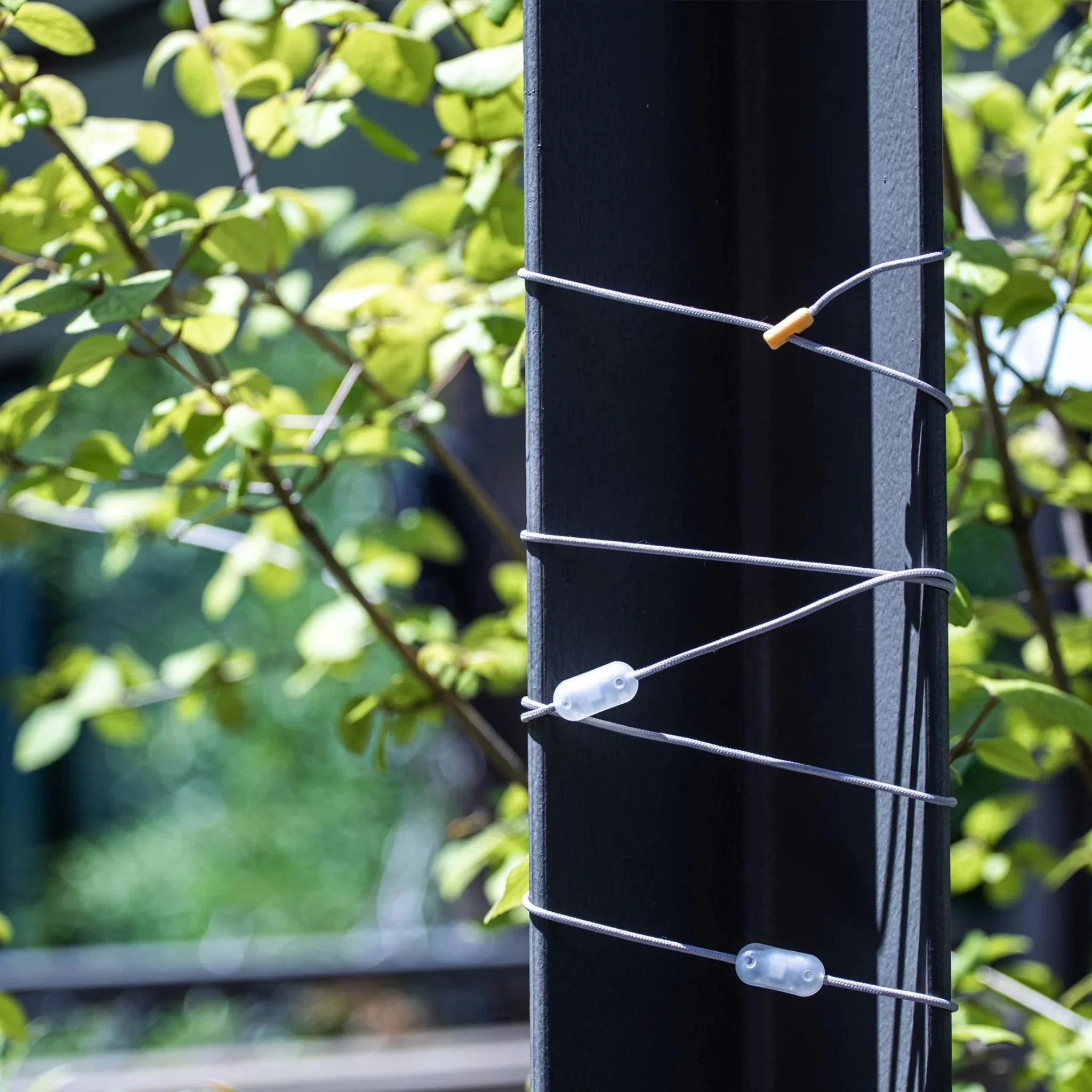 MPOWERD Luci Color Solar String Lights - Image 17