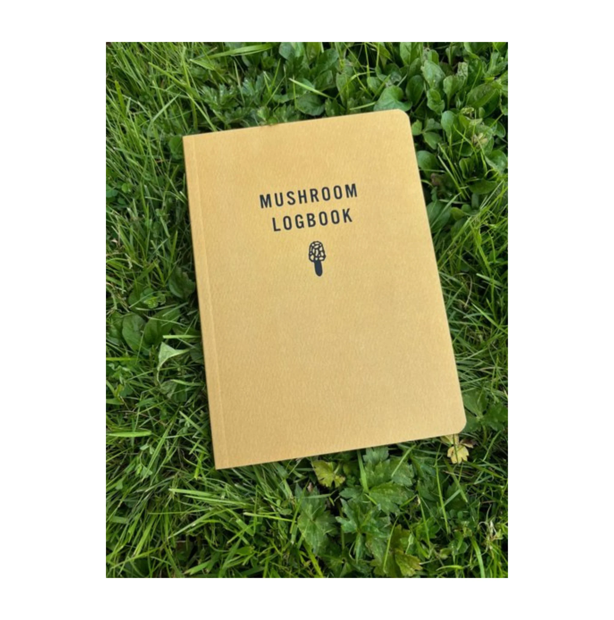 Mushroom Logbook - Image 4