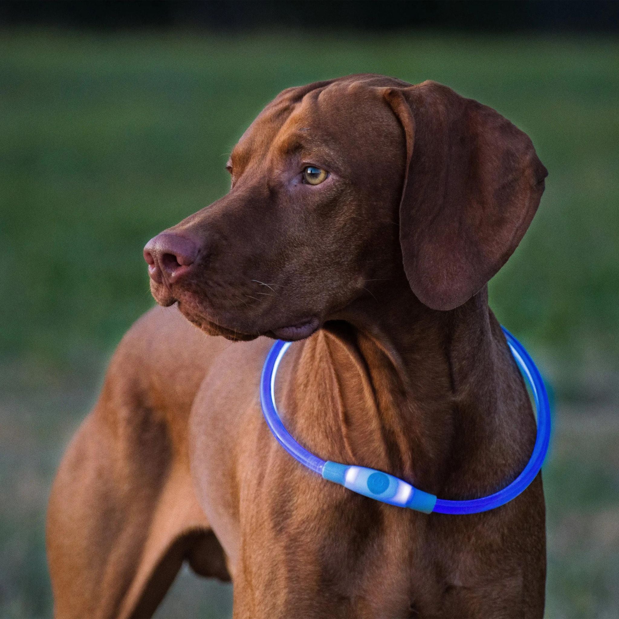 Nite Ize NiteHowl LED Safety Necklace - Image 7