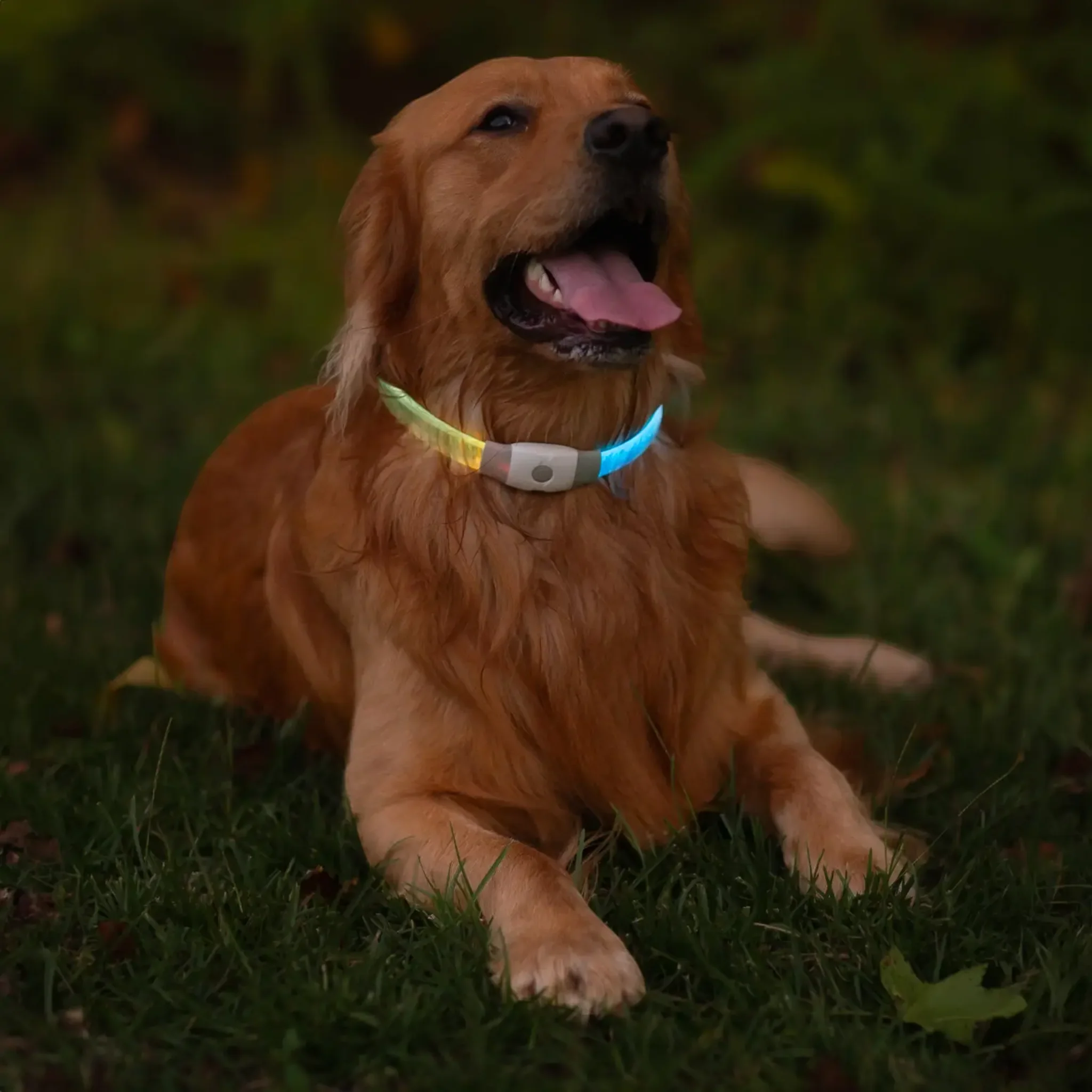 Nite Ize NiteHowl Max Rechargeable LED Safety Necklace - Image 2