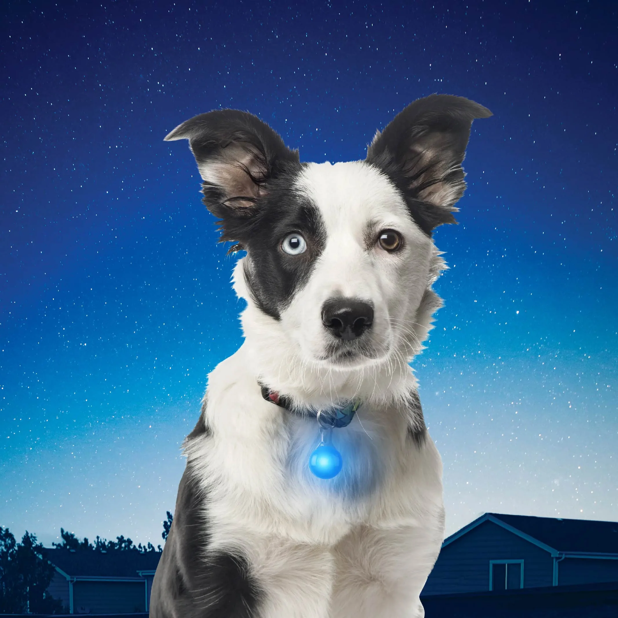 Nite Ize SpotLit Collar Light - Image 9