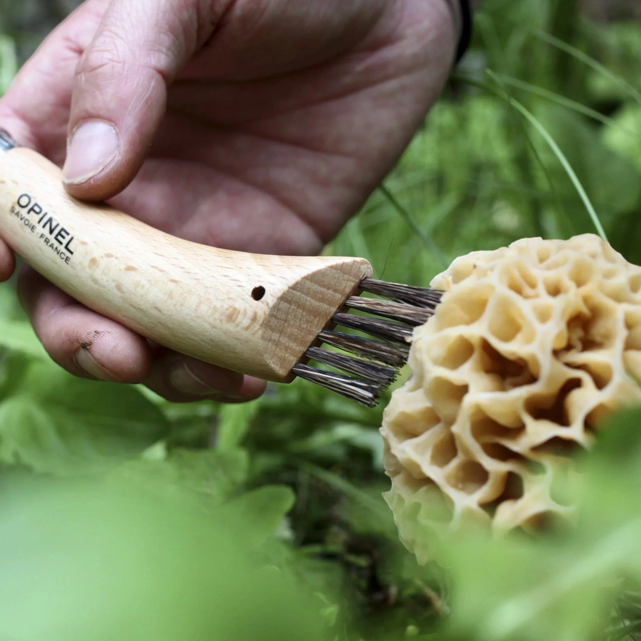 Opinel No. 8 Mushroom Knife - Image 5