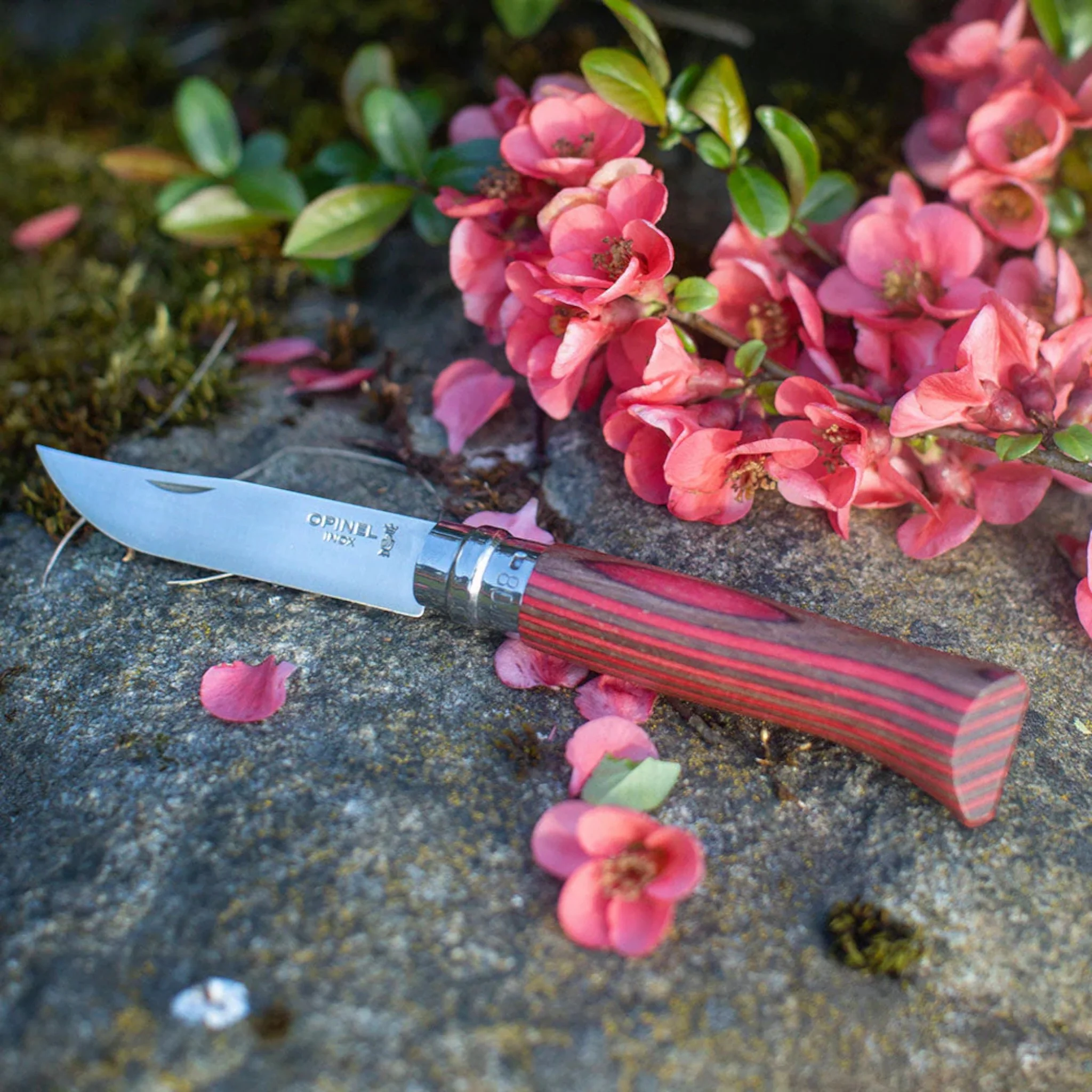 Opinel No.08 Laminated Birch Folding Knife - Image 6