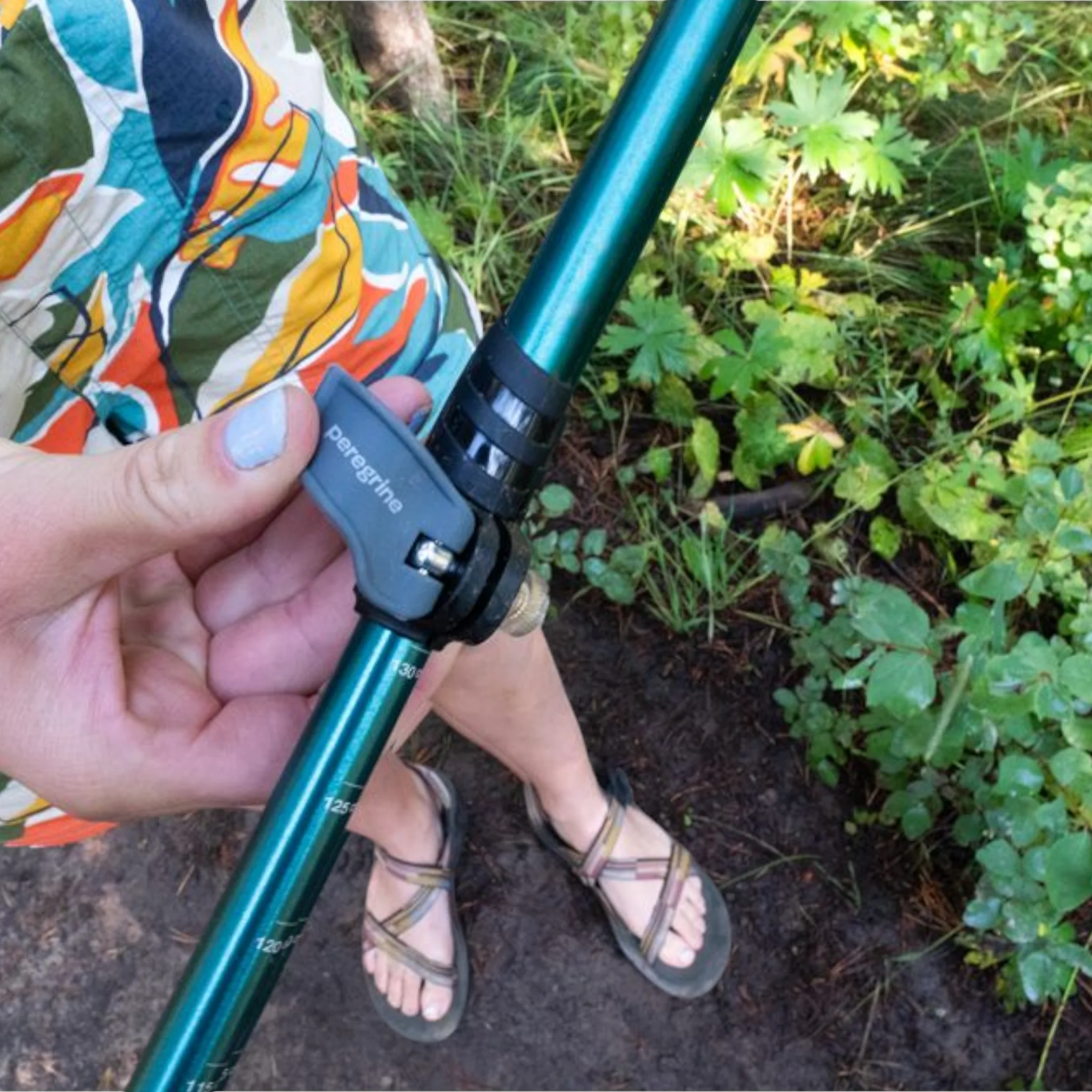 Peregrine Uinta Telescoping Light Aluminum Trekking Poles - Image 5