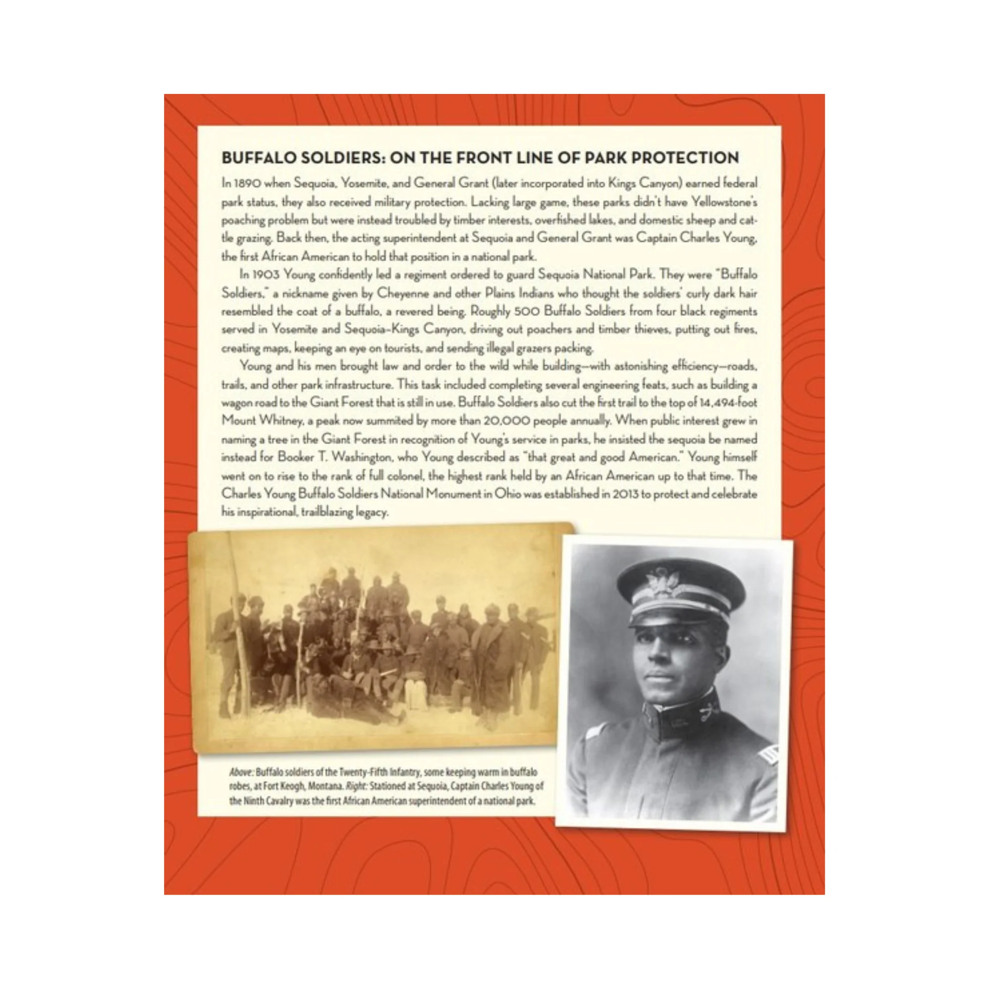 Prophets & Moguls, Rangers & Rogues, Bison & Bears Book - Image 6