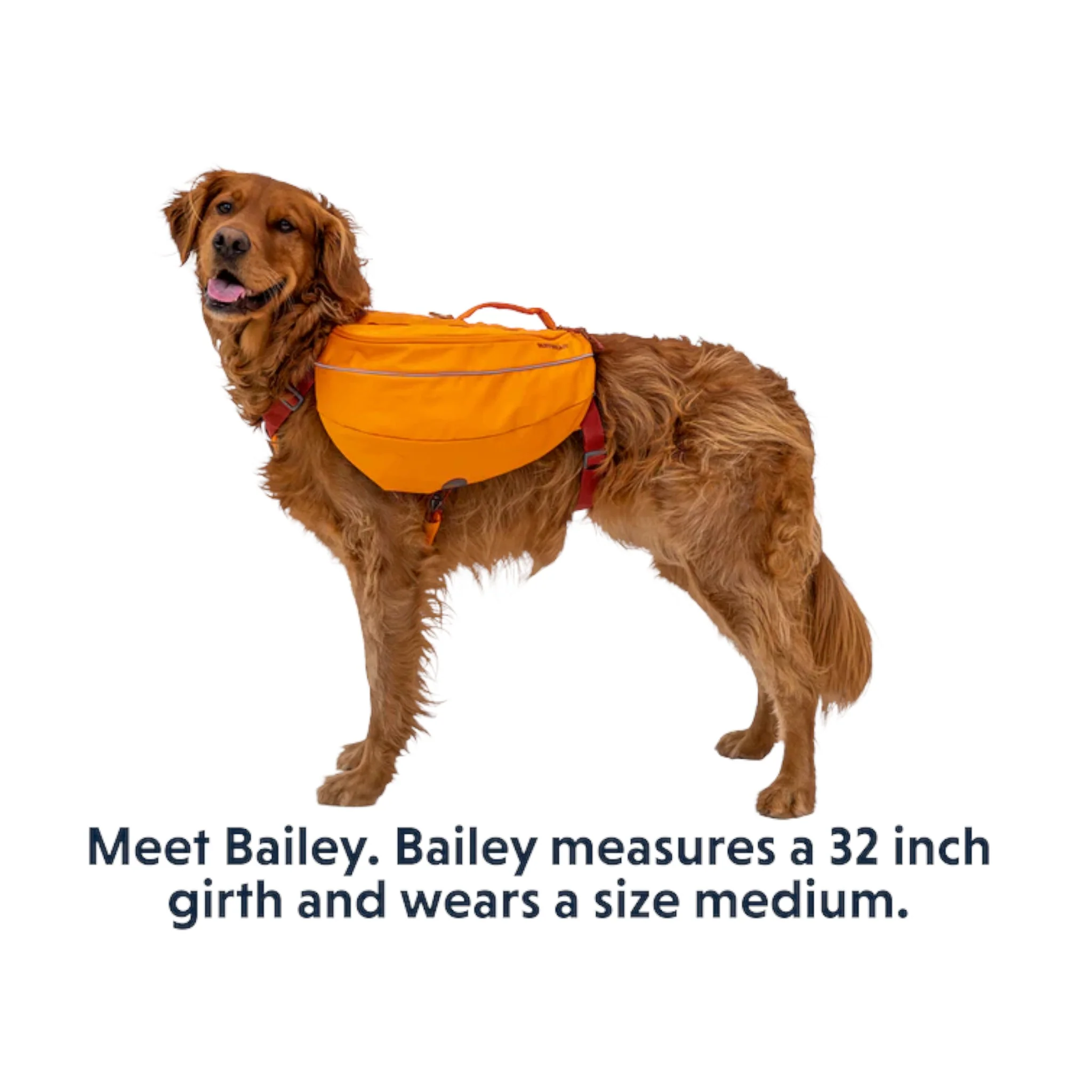 Ruffwear Approach Dog Backpack - Image 11