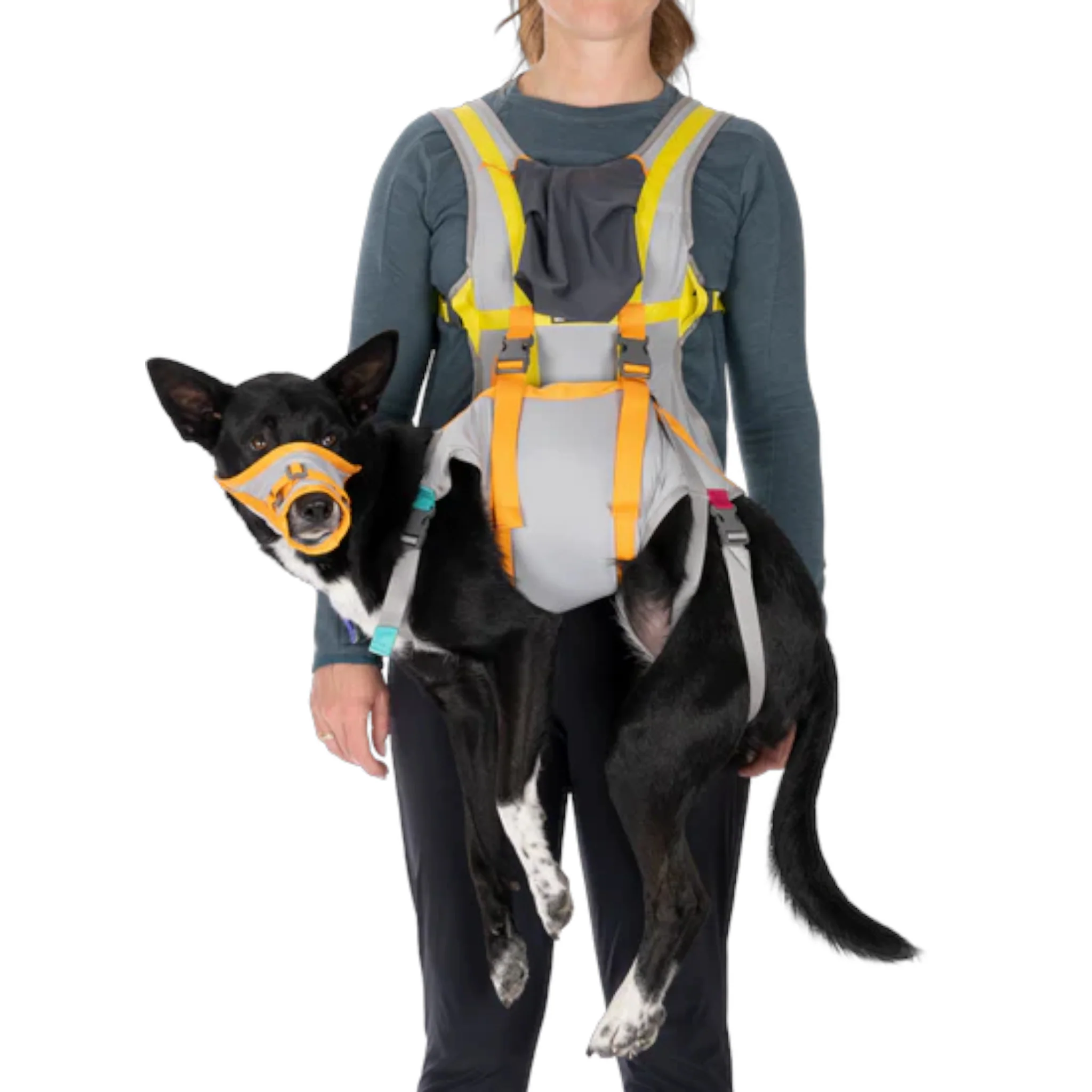 Ruffwear BackTrak Dog Evacuation Kit