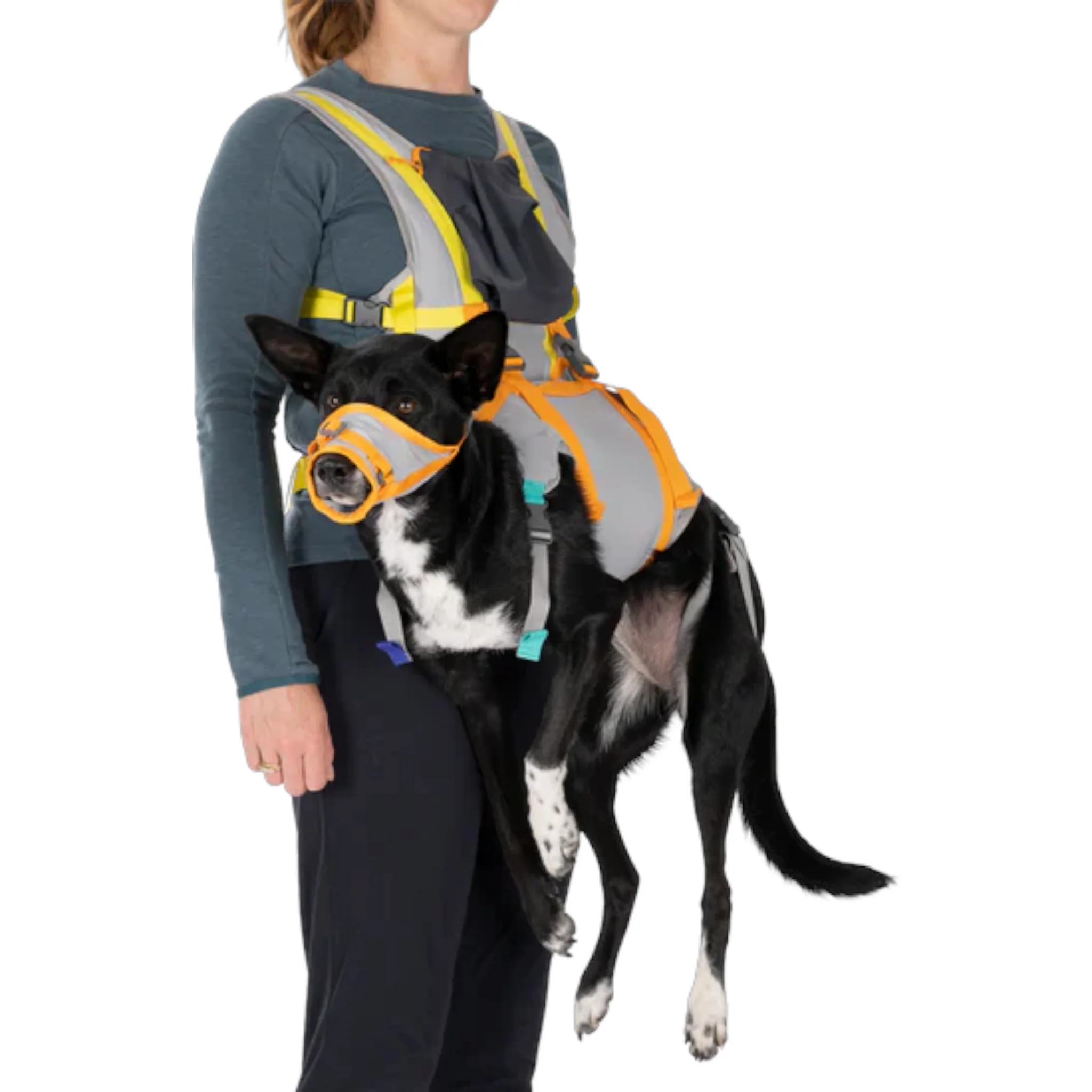 Ruffwear BackTrak Dog Evacuation Kit - Image 4