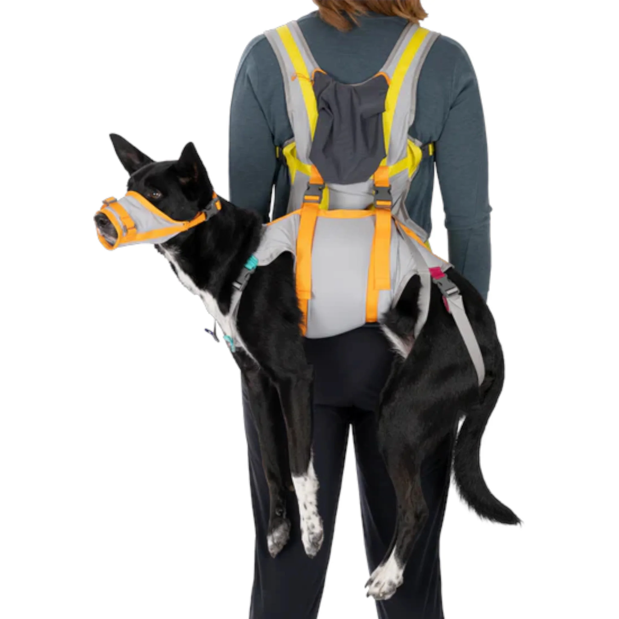 Ruffwear BackTrak Dog Evacuation Kit - Image 5