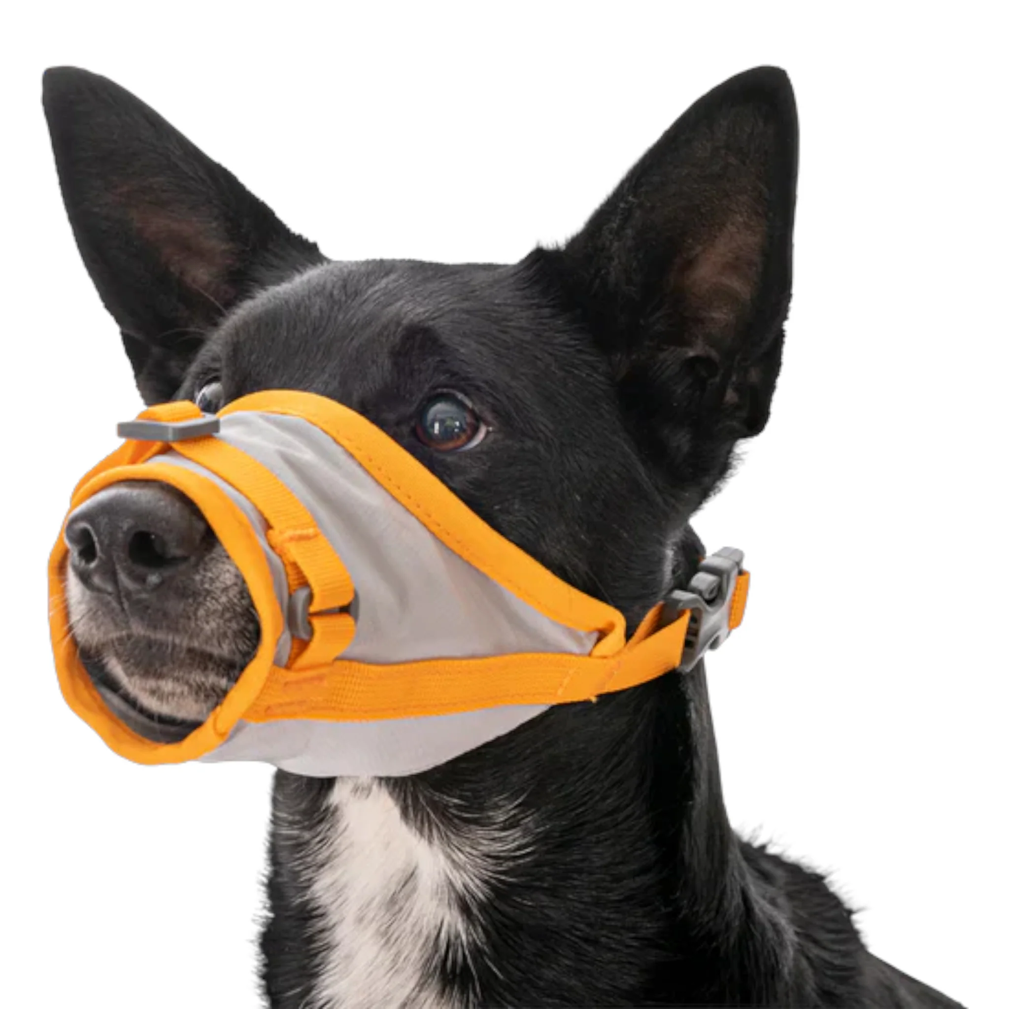 Ruffwear BackTrak Dog Evacuation Kit - Image 6