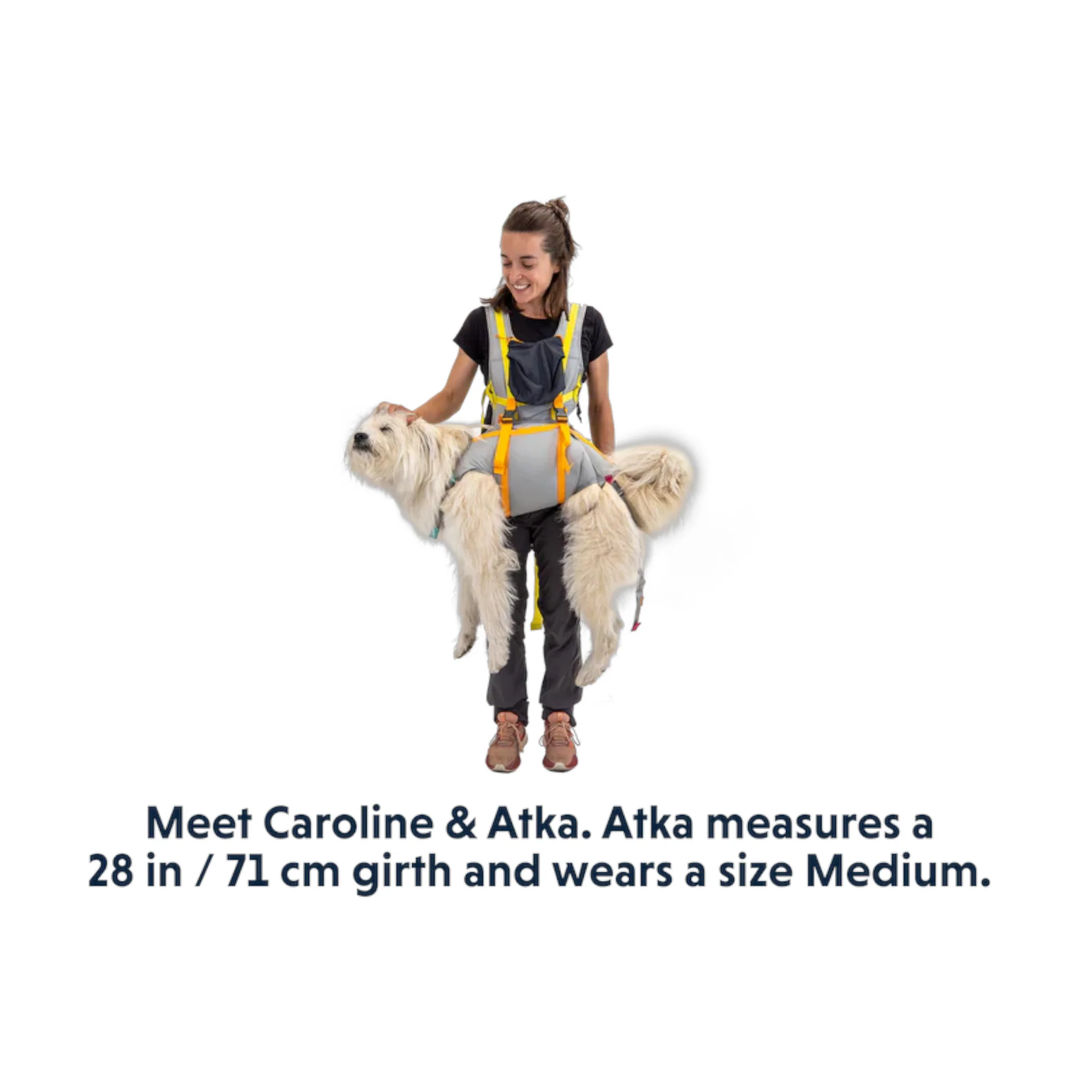 Ruffwear BackTrak Dog Evacuation Kit - Image 7