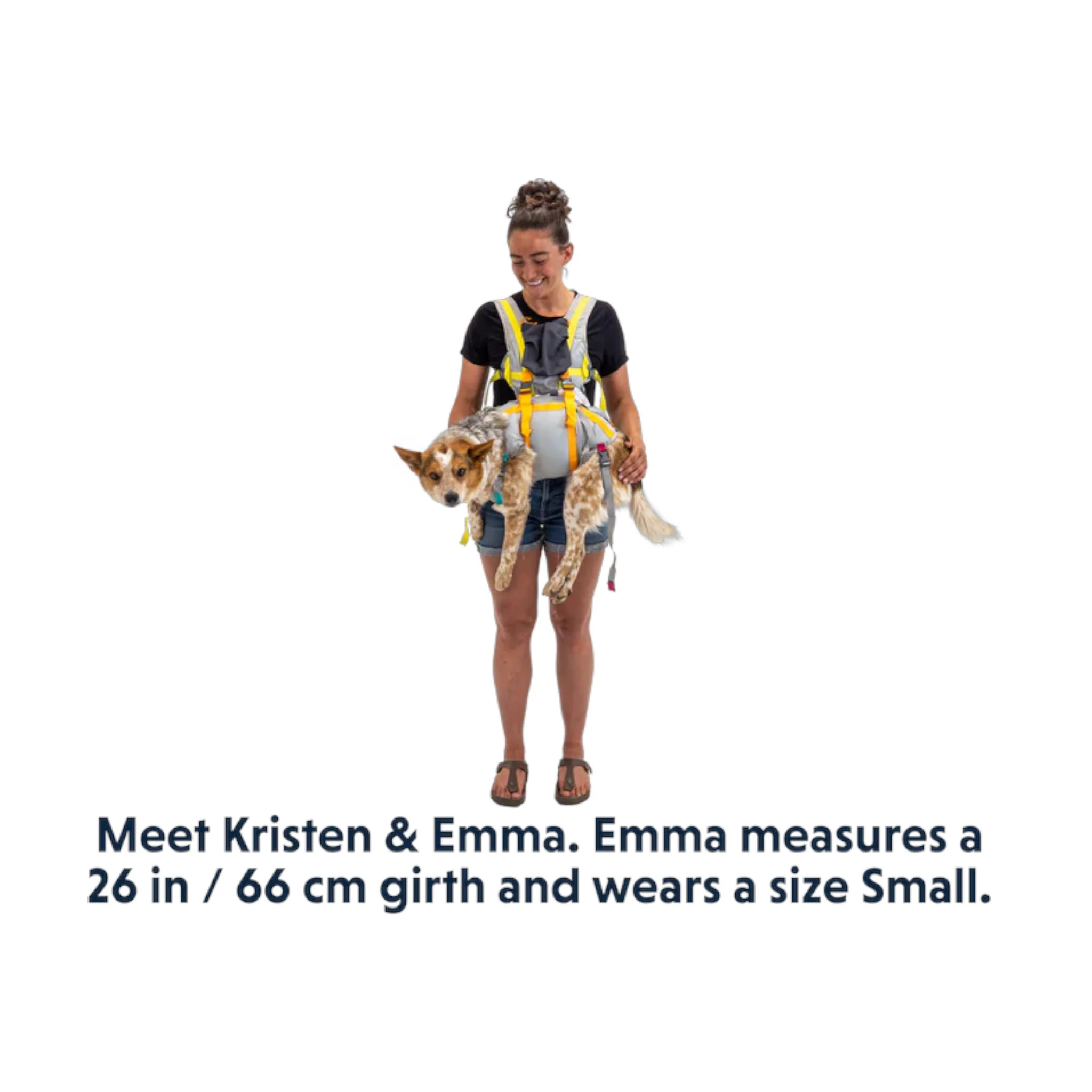 Ruffwear BackTrak Dog Evacuation Kit - Image 8