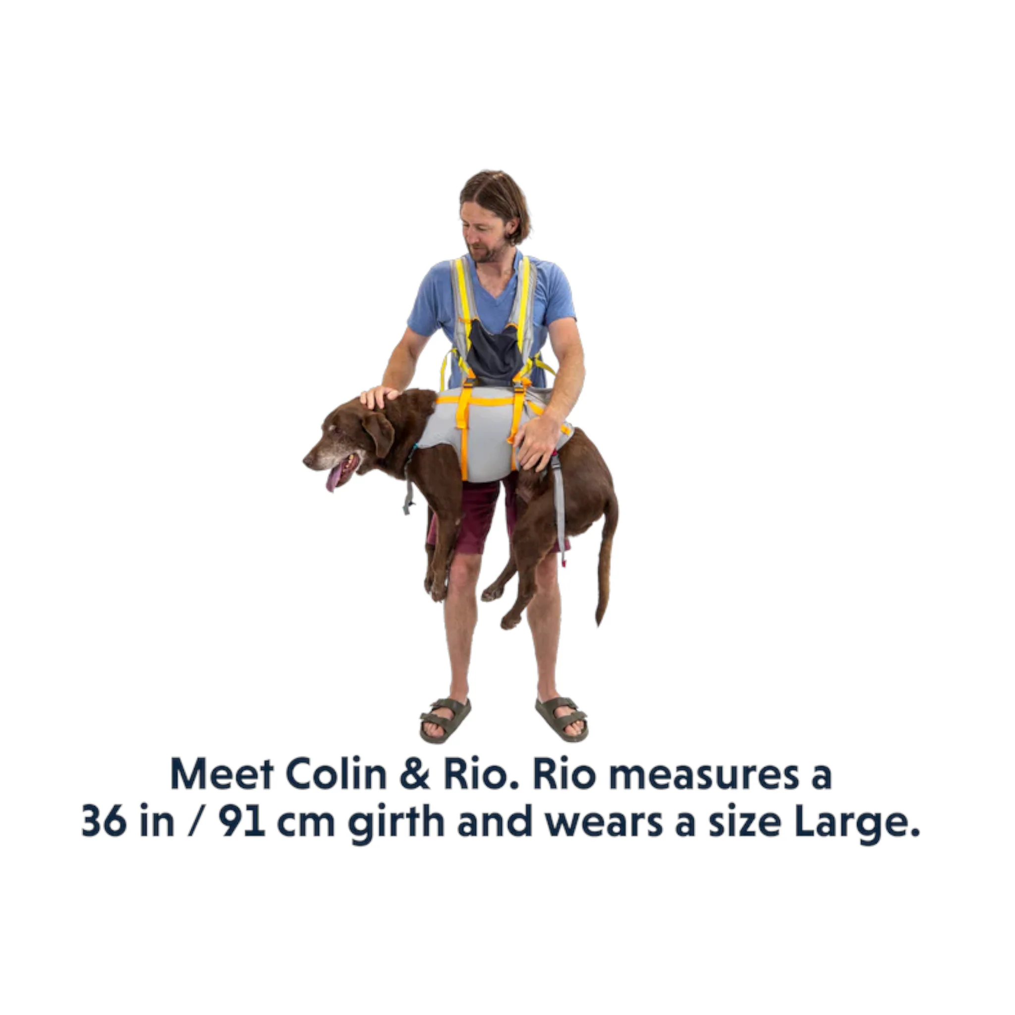 Ruffwear BackTrak Dog Evacuation Kit - Image 9