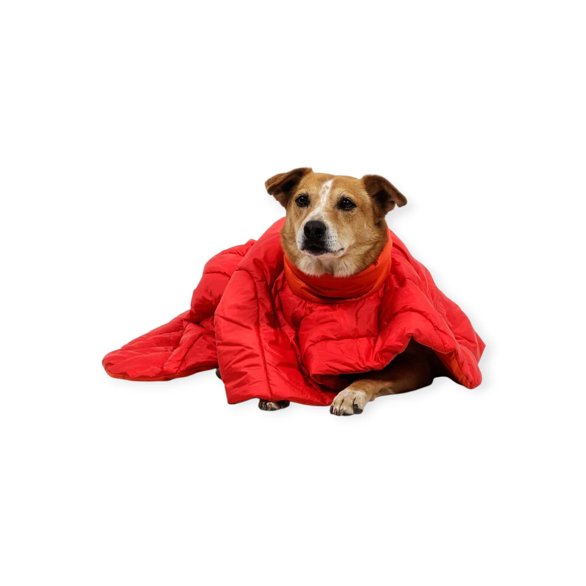 Ruffwear Dog Palisades Sleep Poncho - Image 5