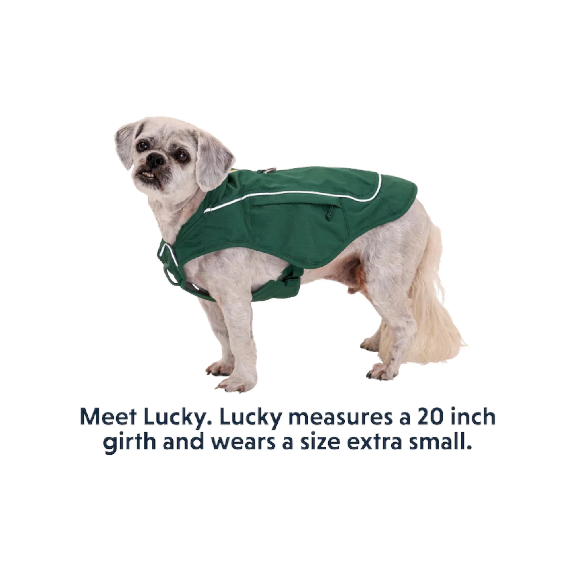 Ruffwear Overcoat Fuse Dog Jacket-Harness Combo - Image 8