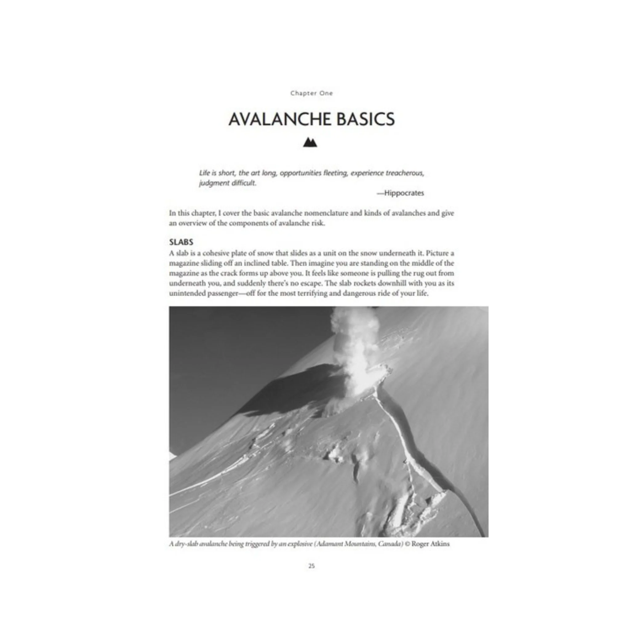 Staying Alive in Avalanche Terrain Book - 3rd Edition - Image 4