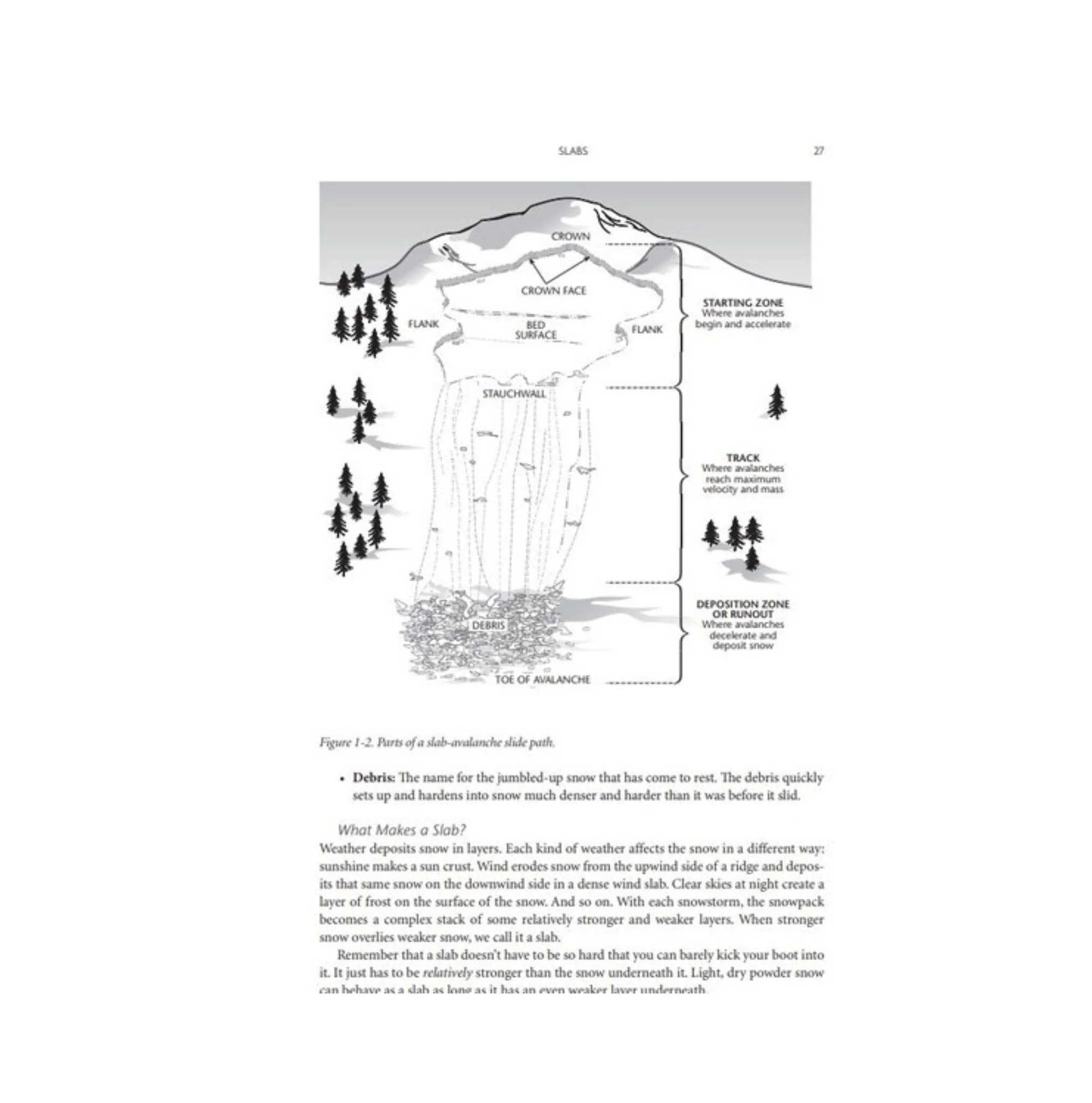 Staying Alive in Avalanche Terrain Book - 3rd Edition - Image 6