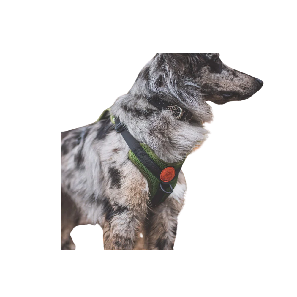 Wilderdog Harness